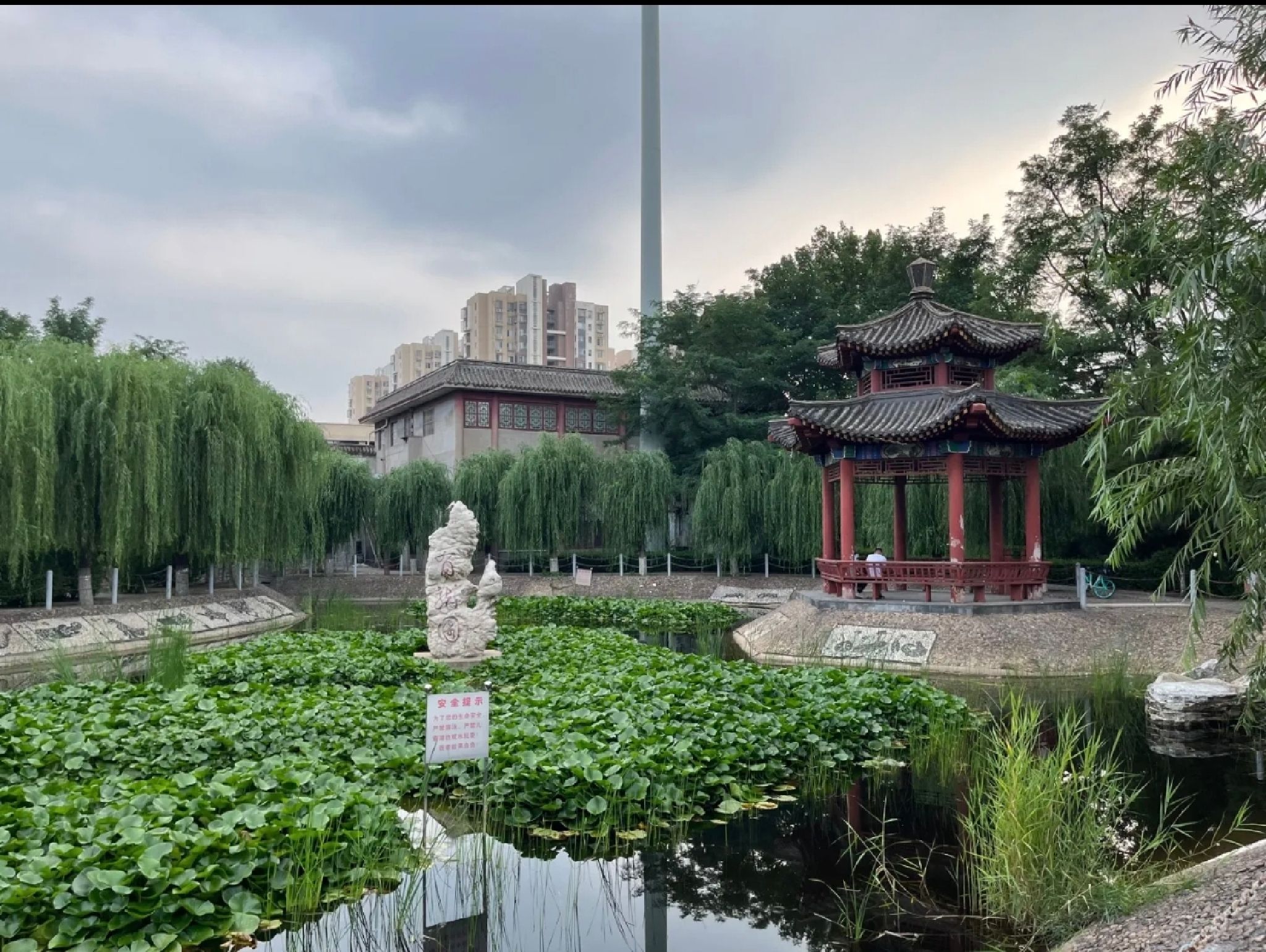 有龙园旅行图片 2