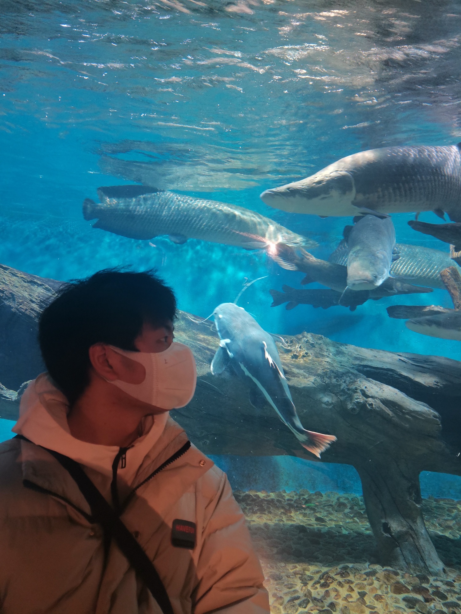 市民广场旅行图片 2