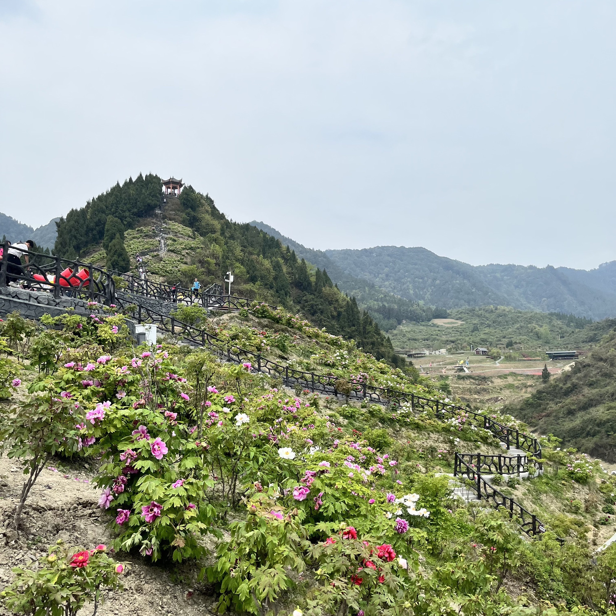 恺之峰旅游区旅行图片 1