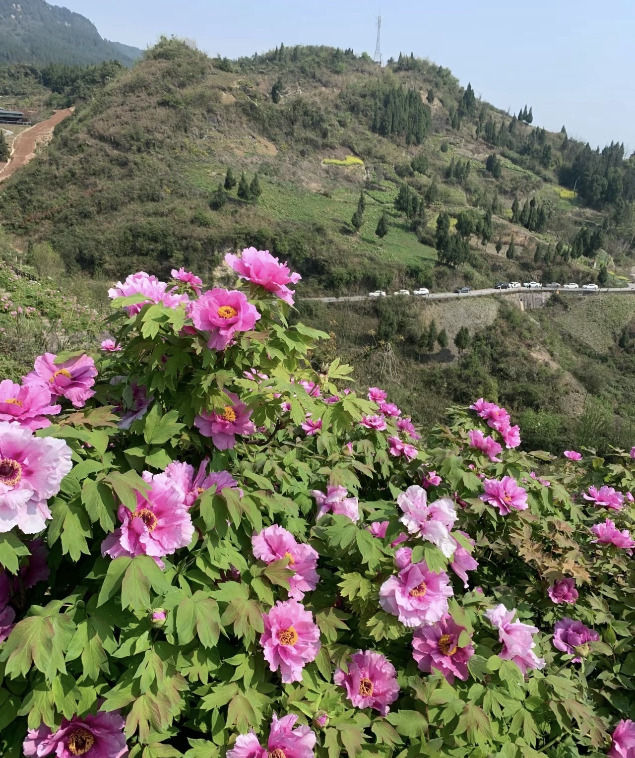 恺之峰旅游区旅行图片 2