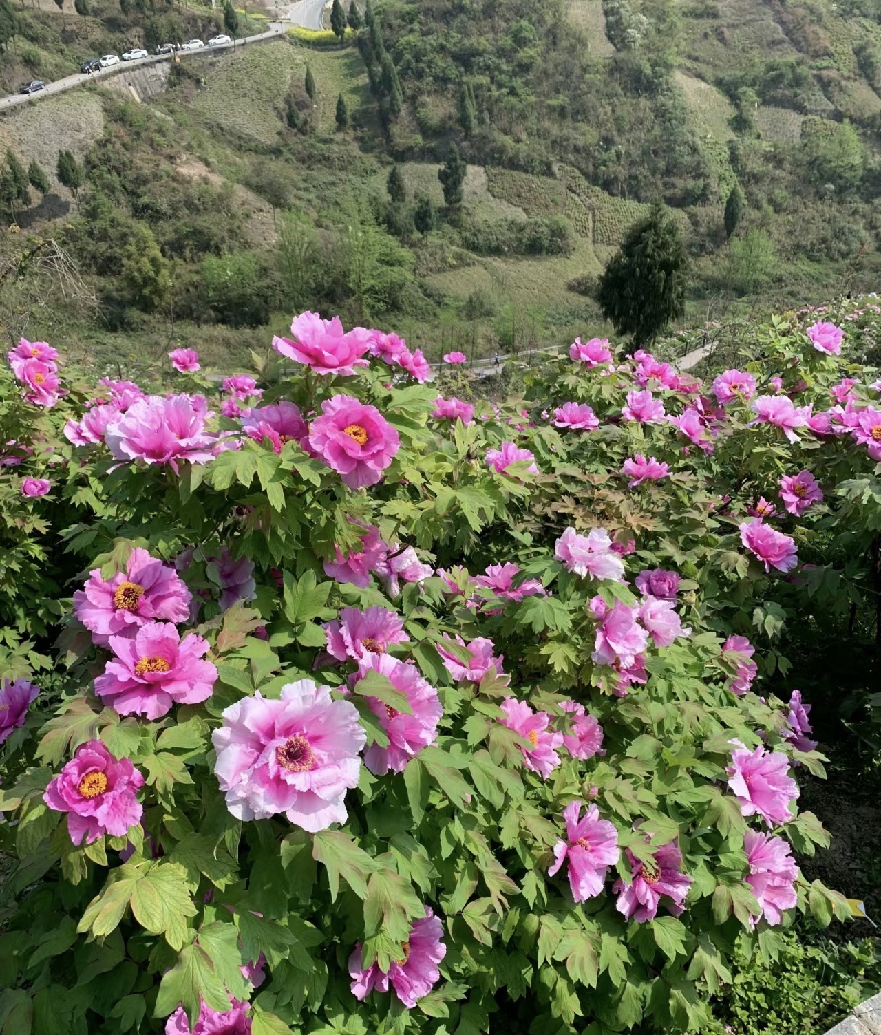 恺之峰旅游区旅行图片 1