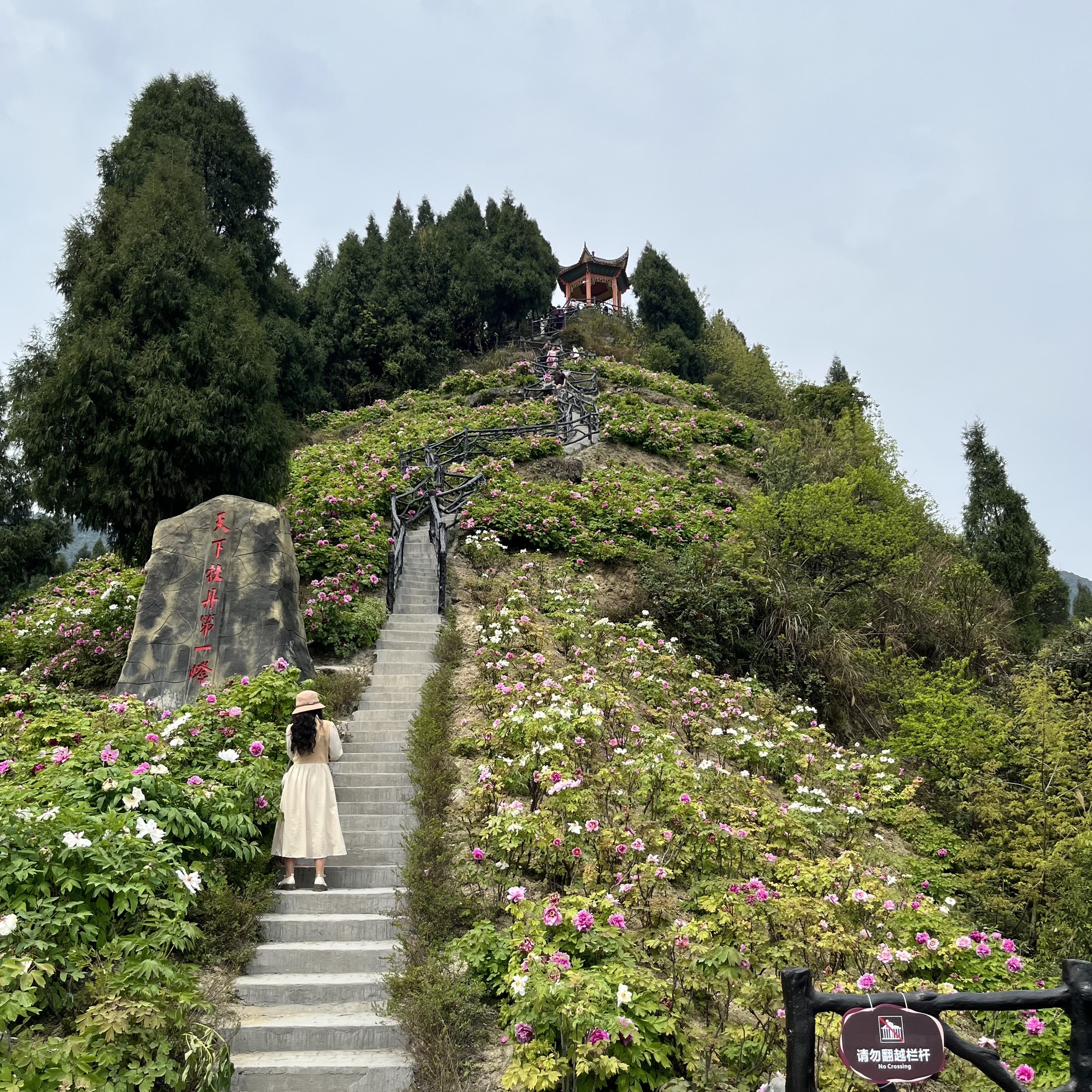 恺之峰旅游区旅行图片 2