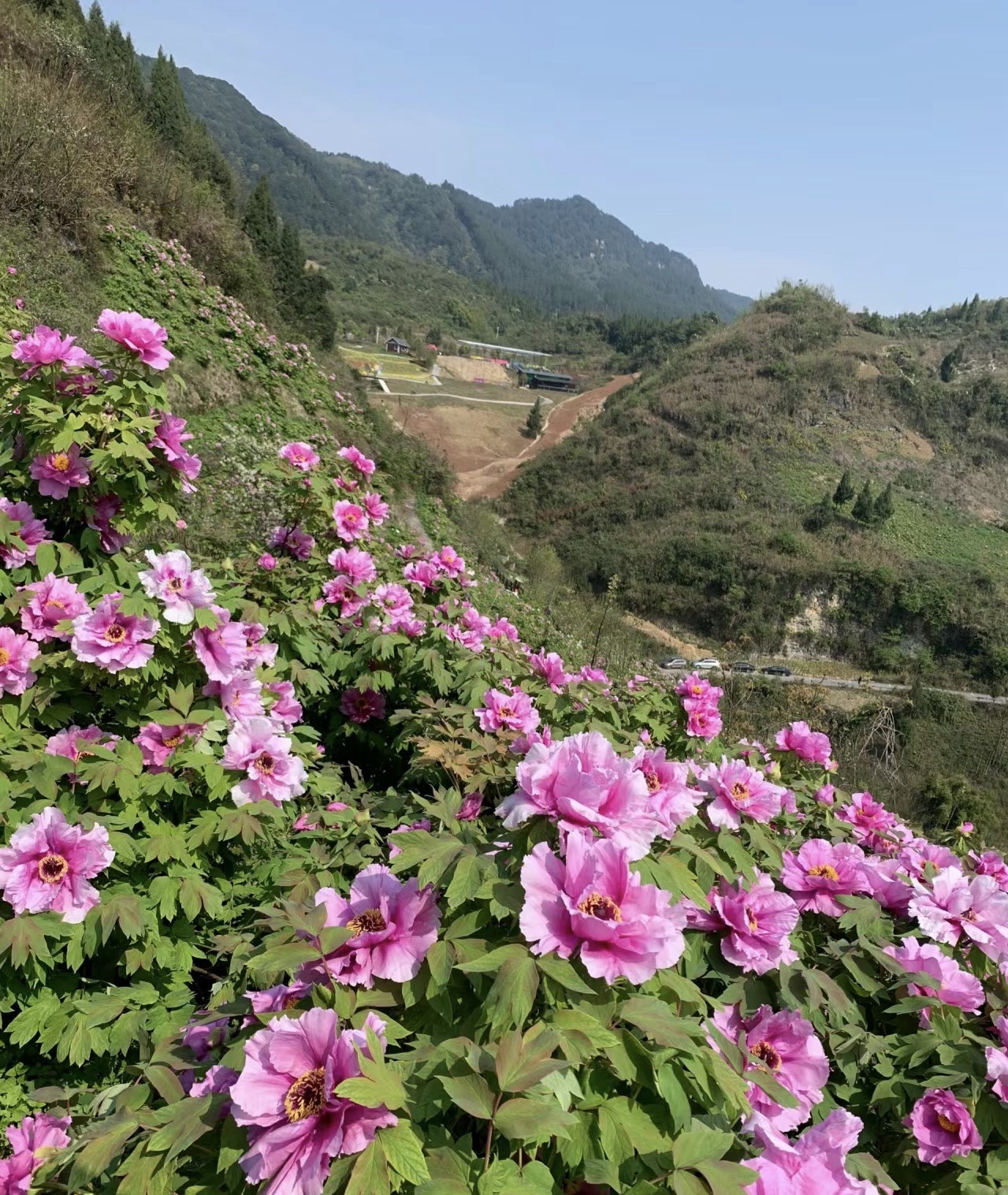 恺之峰旅游区旅行图片 3
