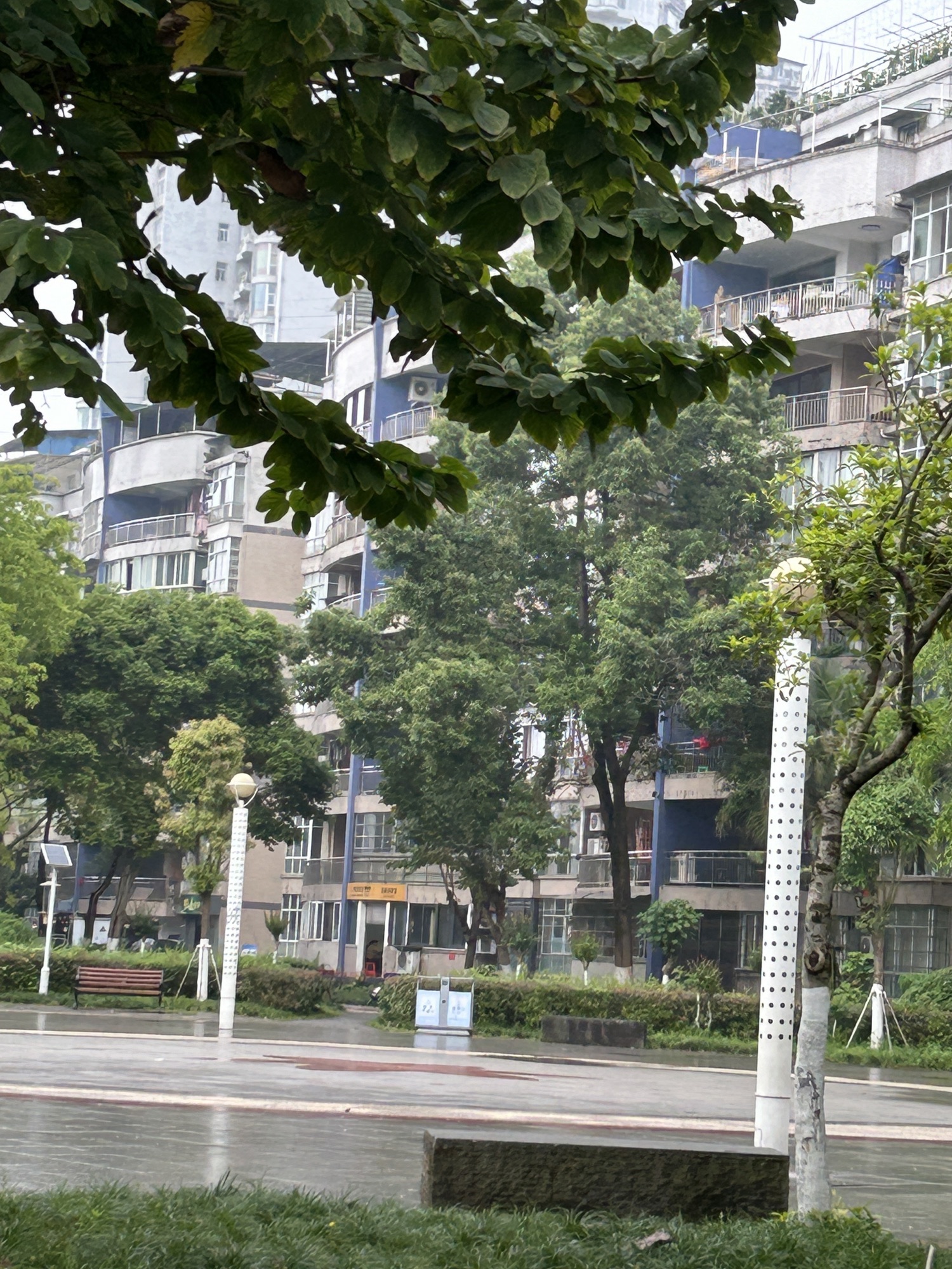 陶行知广场旅行图片 2