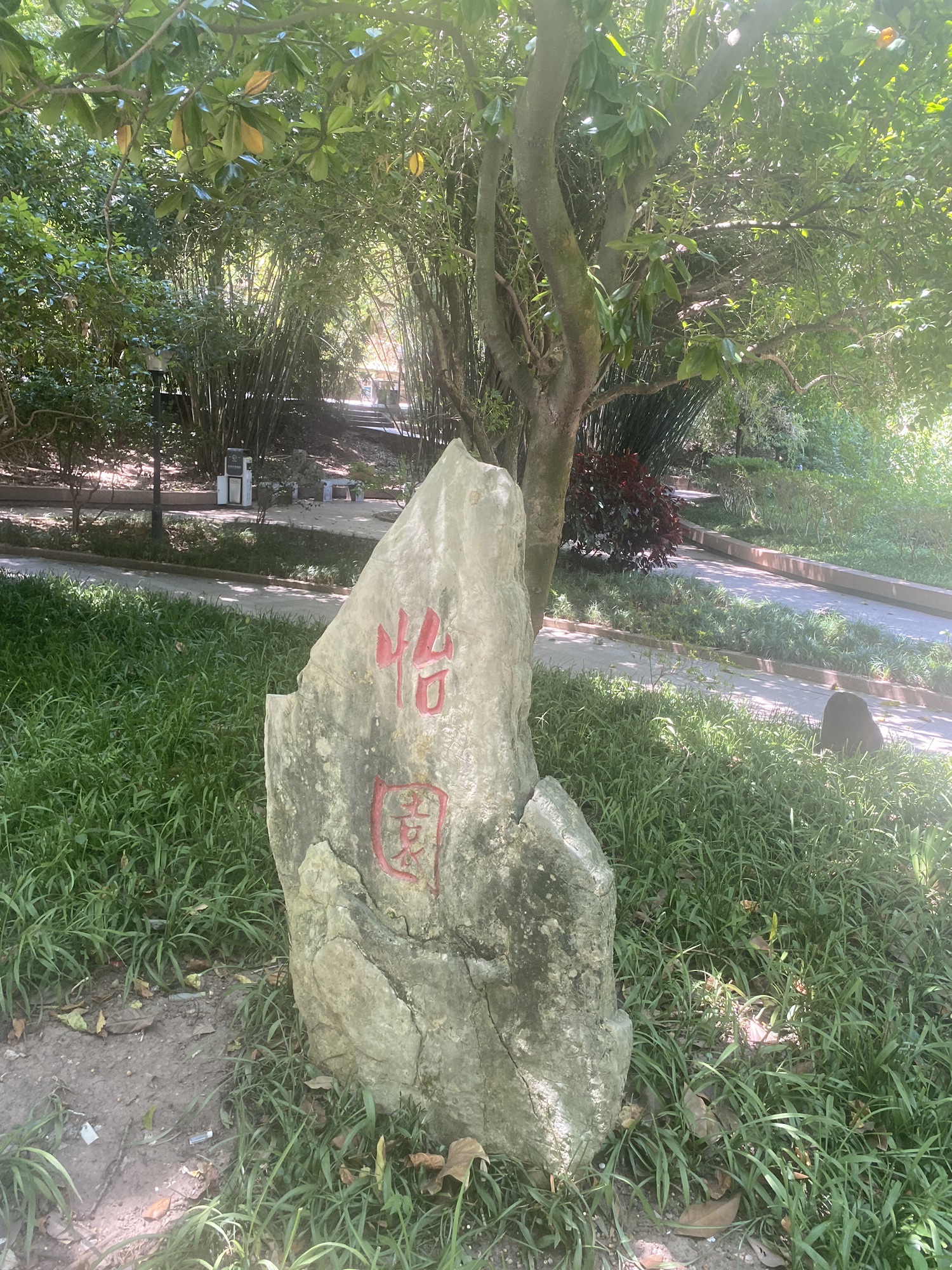 北碚公园旅行图片 3