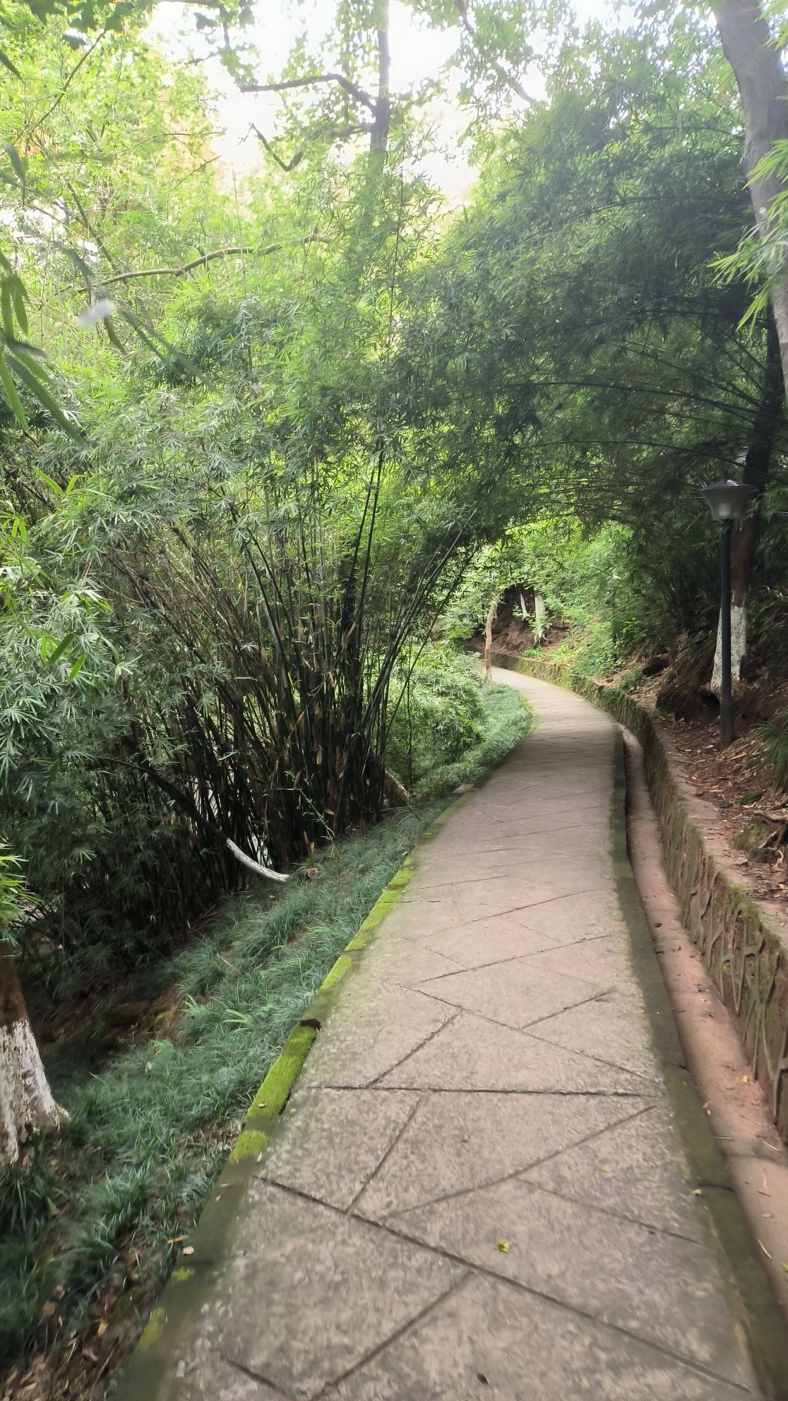 北碚公园旅行图片 3