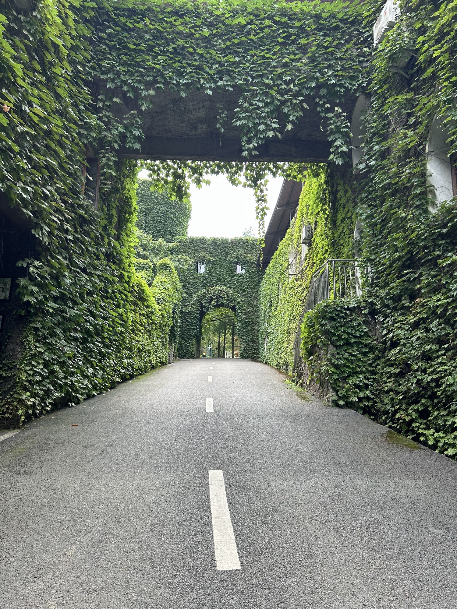 海石公园(不对外开放)旅行图片 3