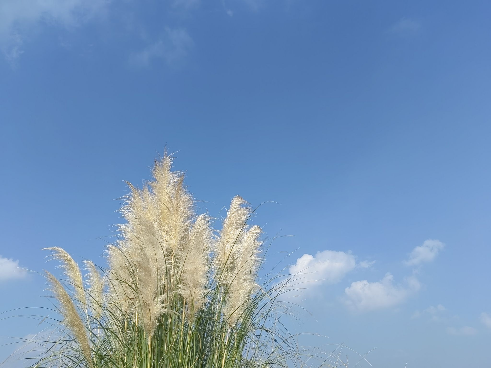 莲花湖风景区旅行图片 1
