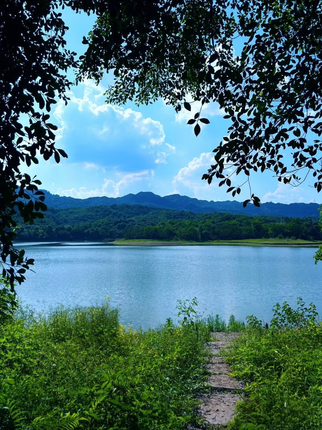 莲花湖风景区旅行图片 3