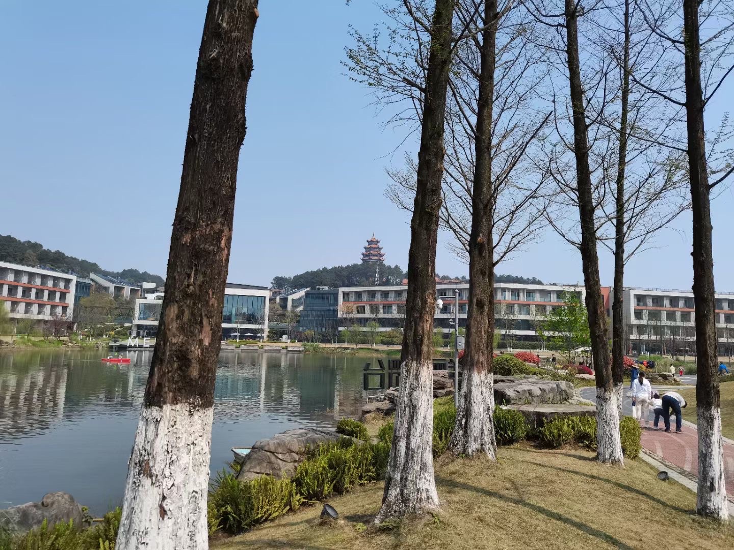 重庆铁山坪森林公园旅行图片 1