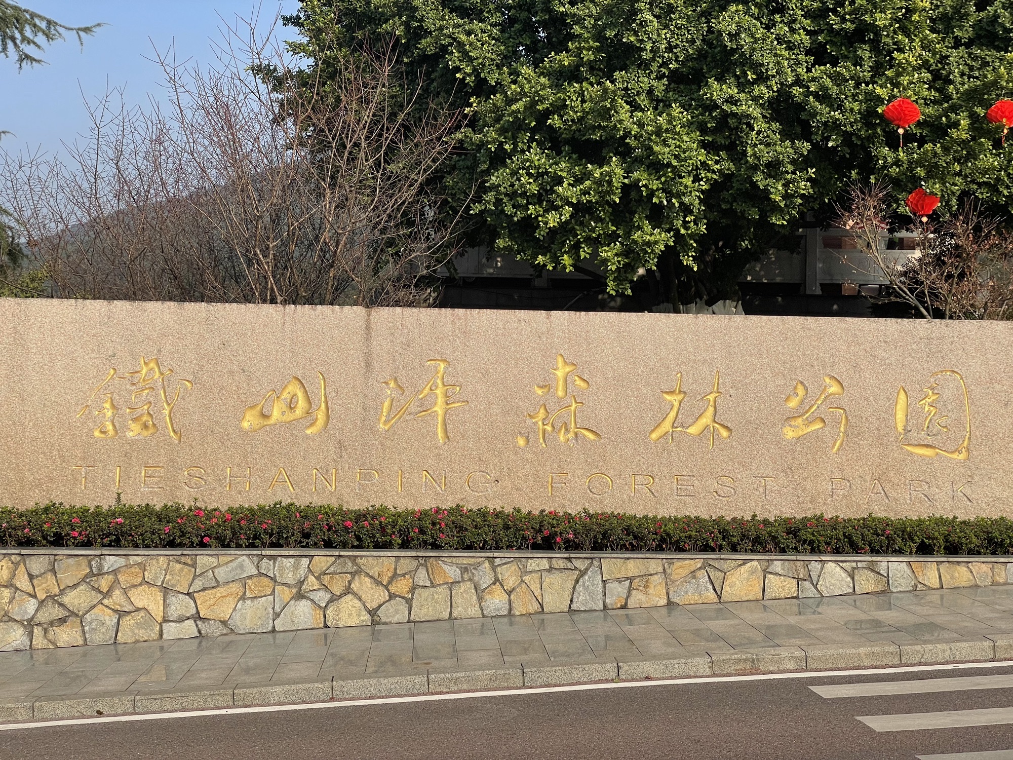 重庆铁山坪森林公园旅行图片 1