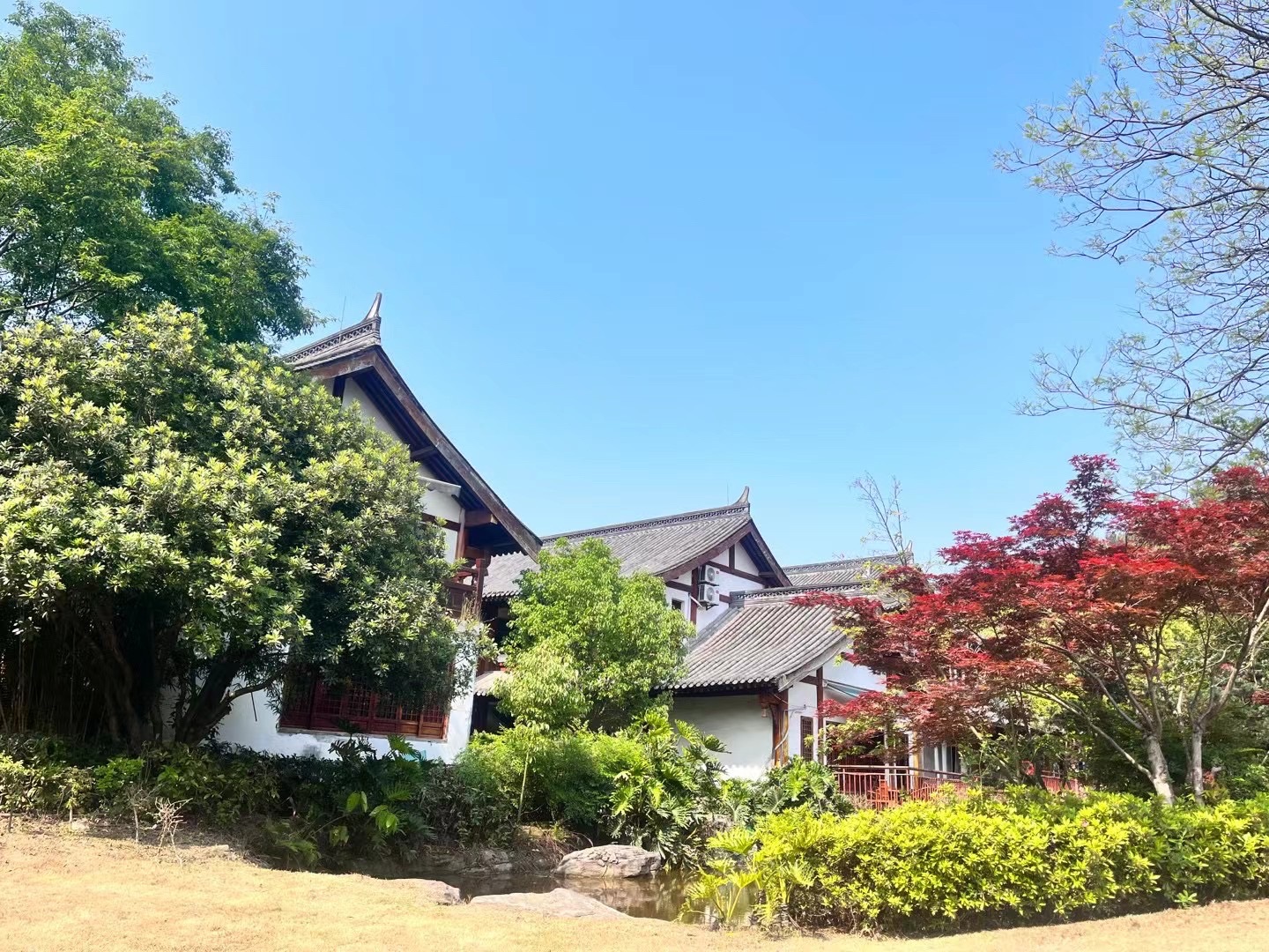 重庆铁山坪森林公园旅行图片 3