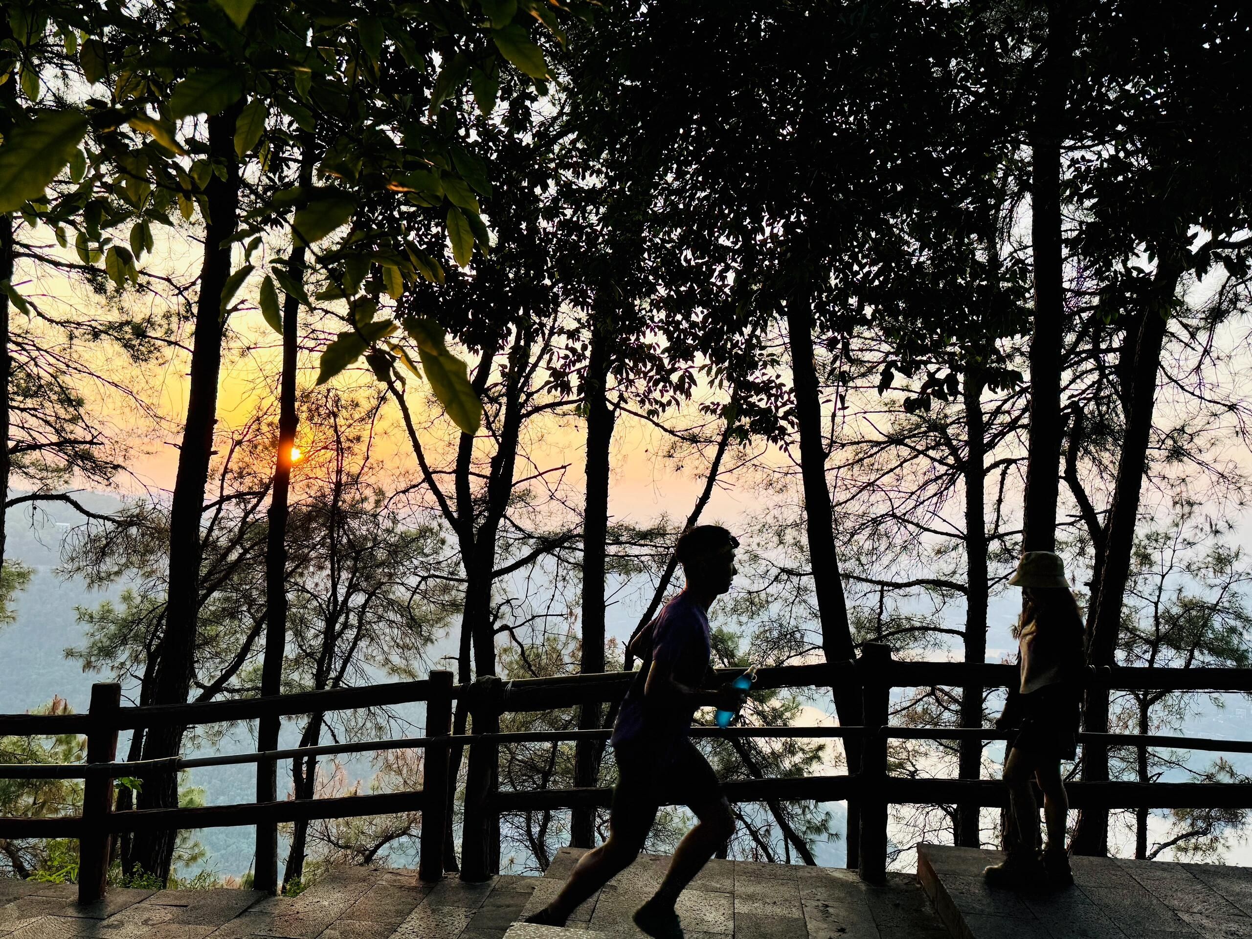 重庆铁山坪森林公园旅行图片 1