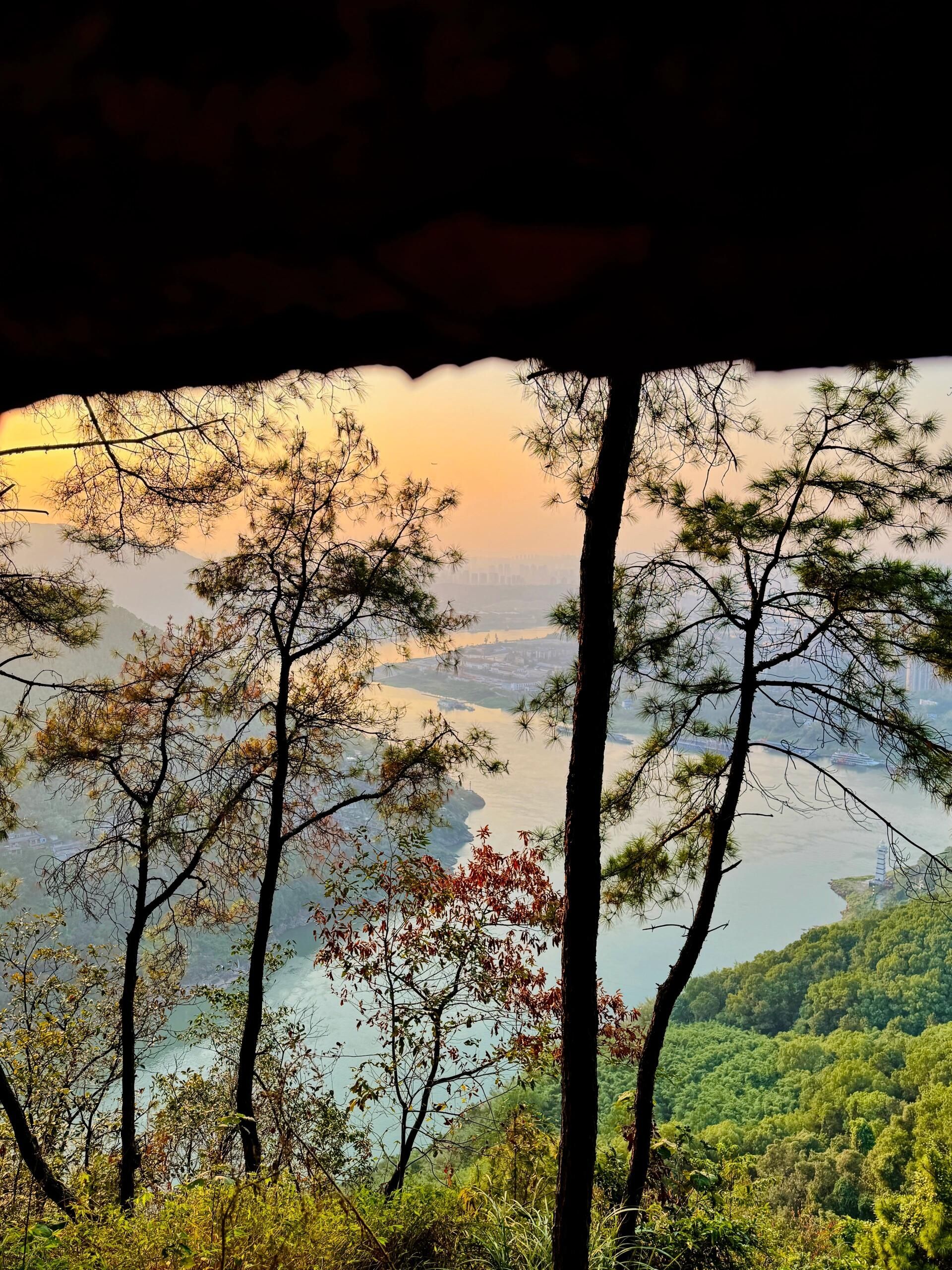 重庆铁山坪森林公园旅行图片 2
