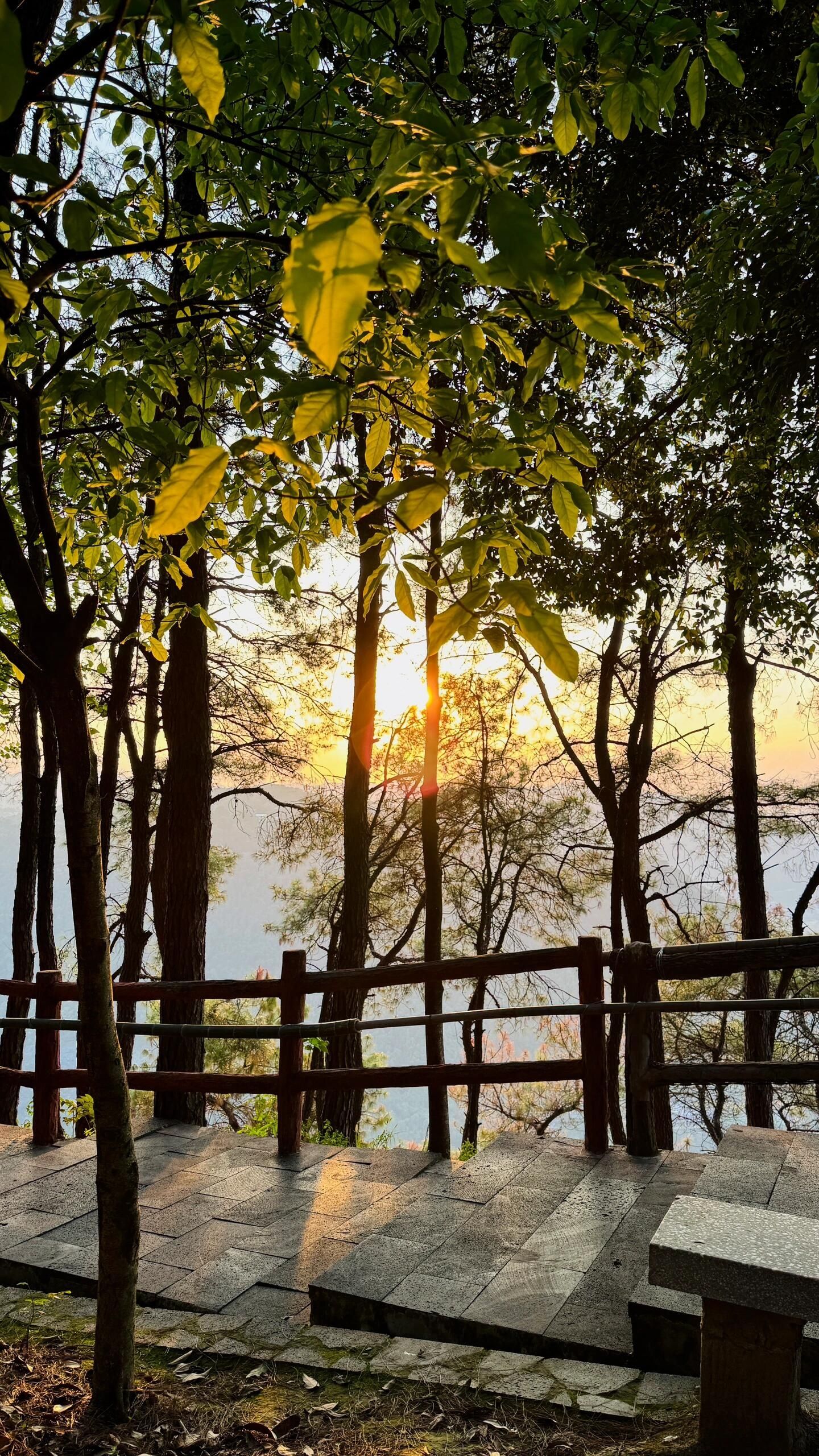 重庆铁山坪森林公园旅行图片 3