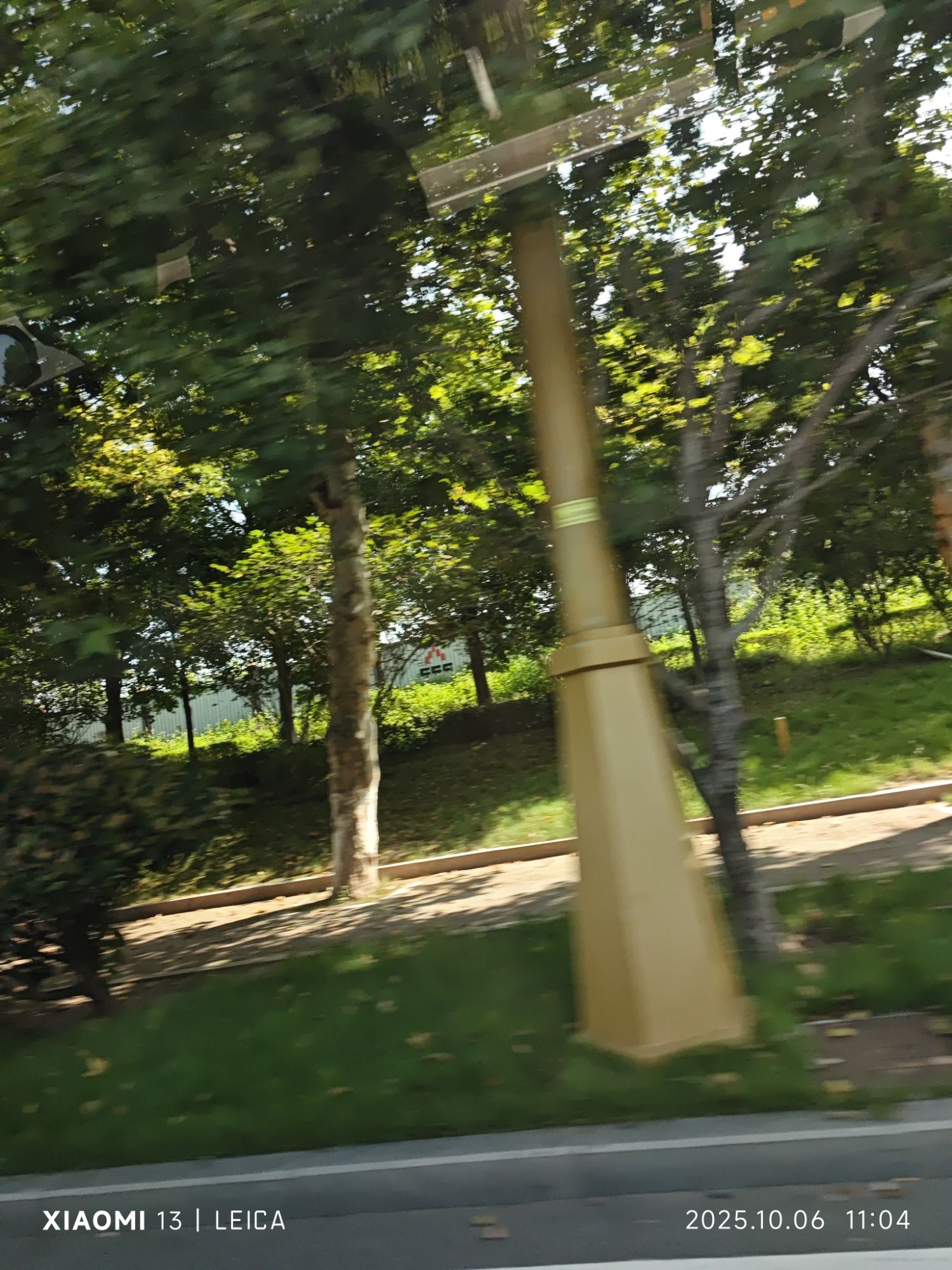 重庆铁山坪森林公园旅行图片 1
