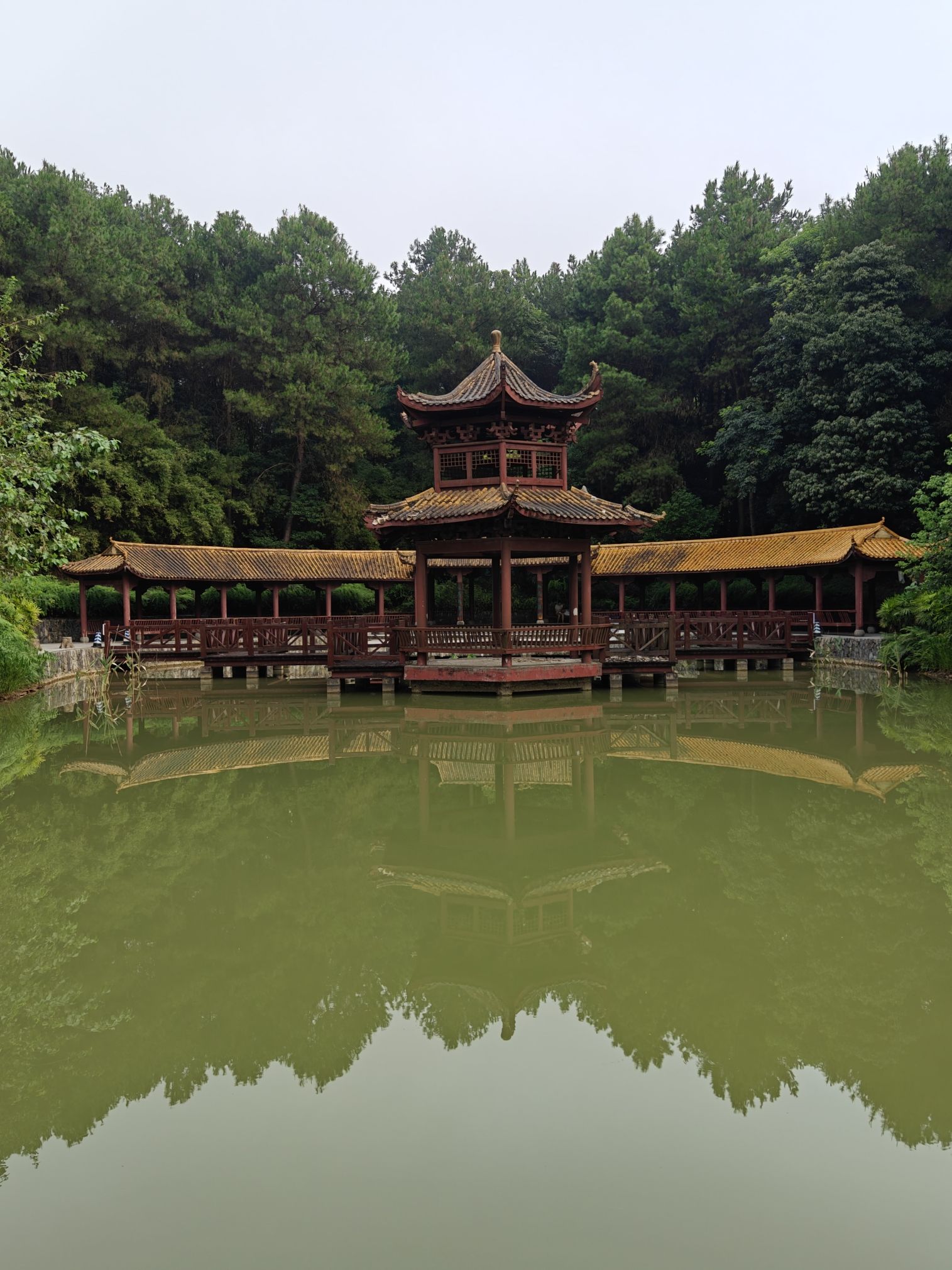重庆铁山坪森林公园旅行图片 3