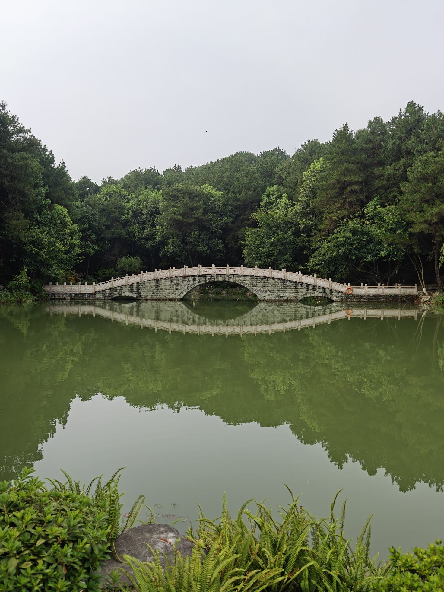 重庆铁山坪森林公园旅行图片 2
