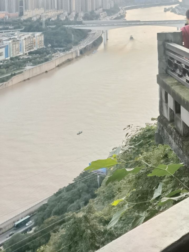 鹅岭公园旅行图片 3