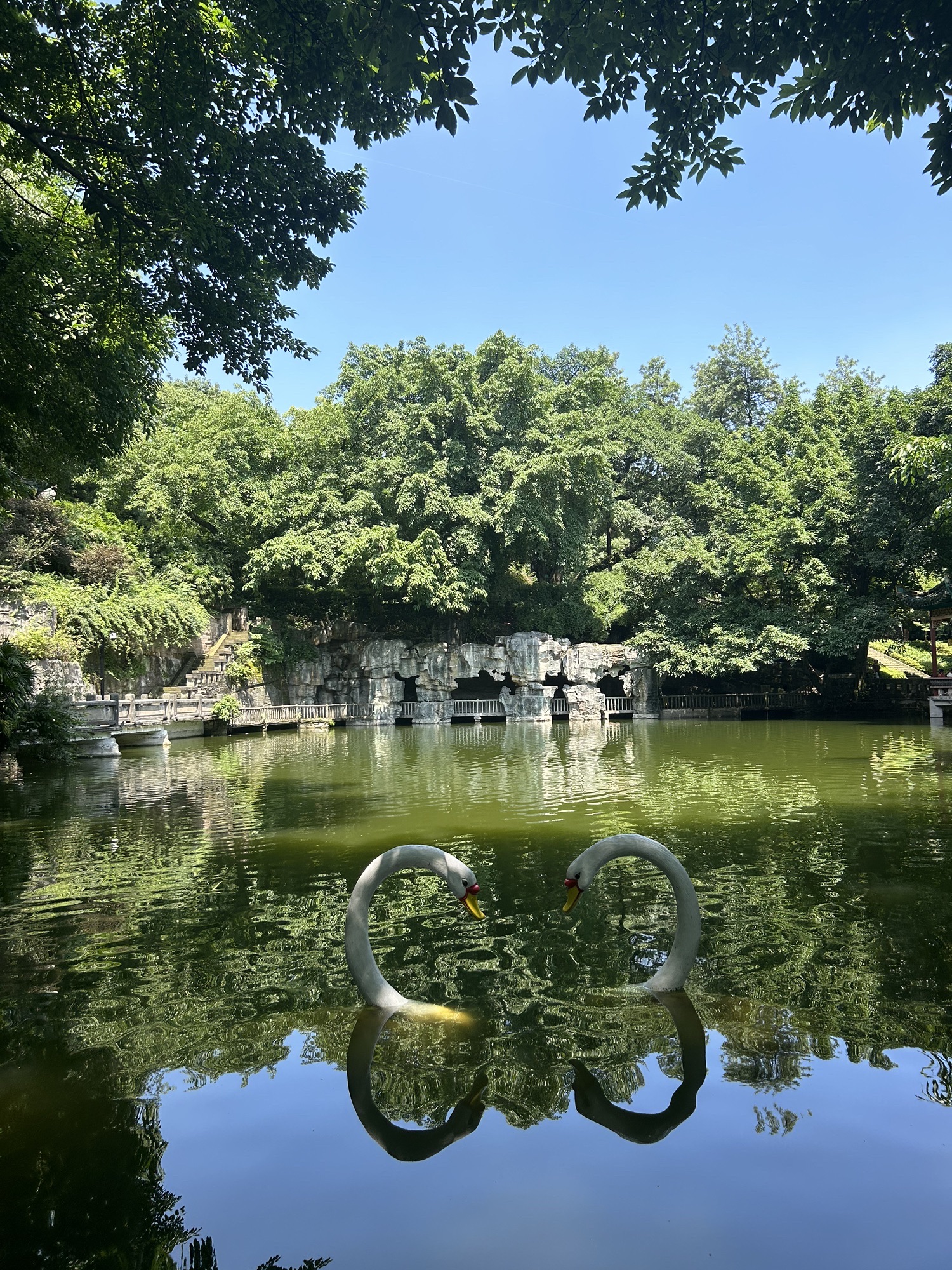 鹅岭公园旅行图片 2