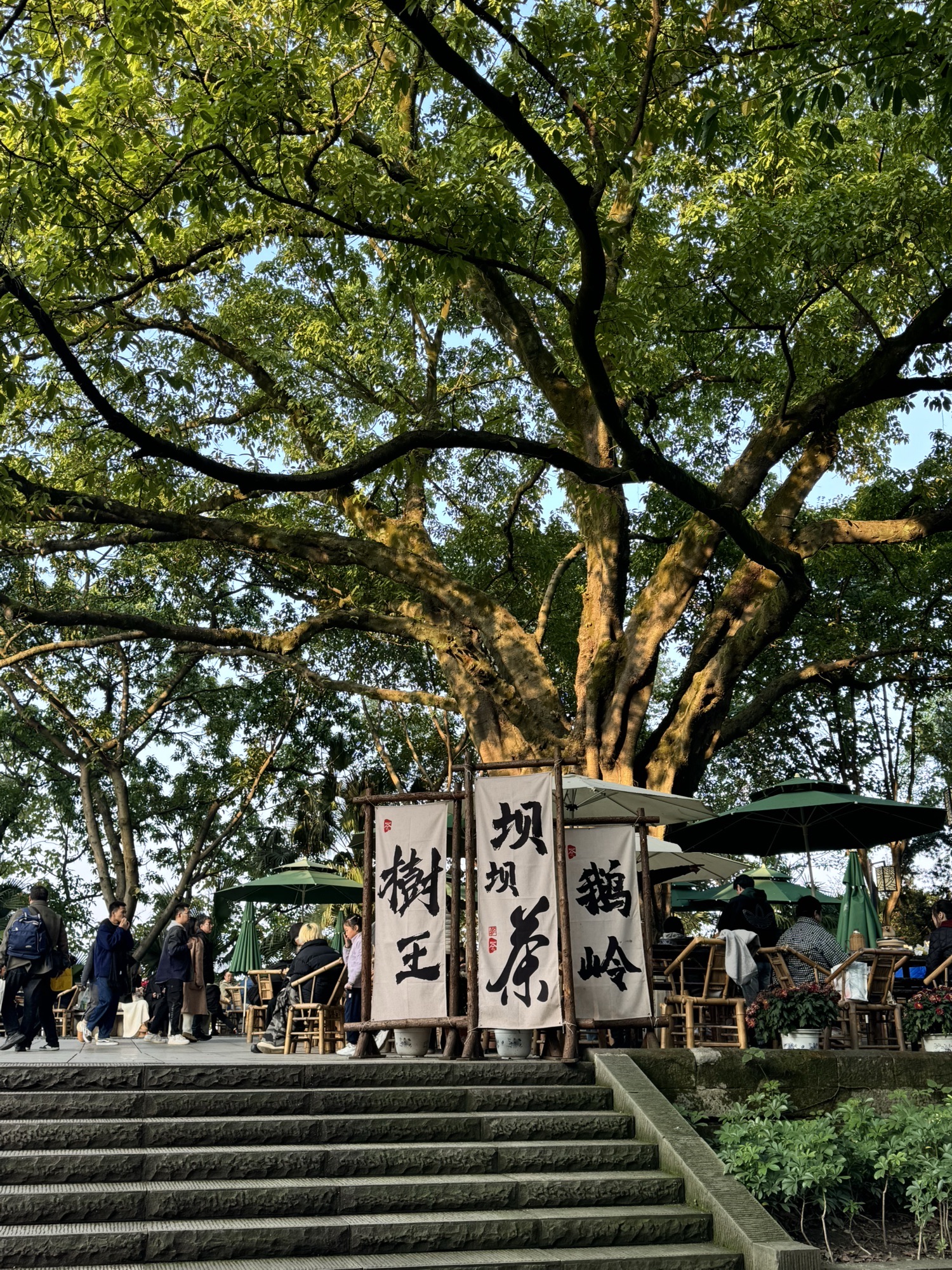 鹅岭公园旅行图片 1