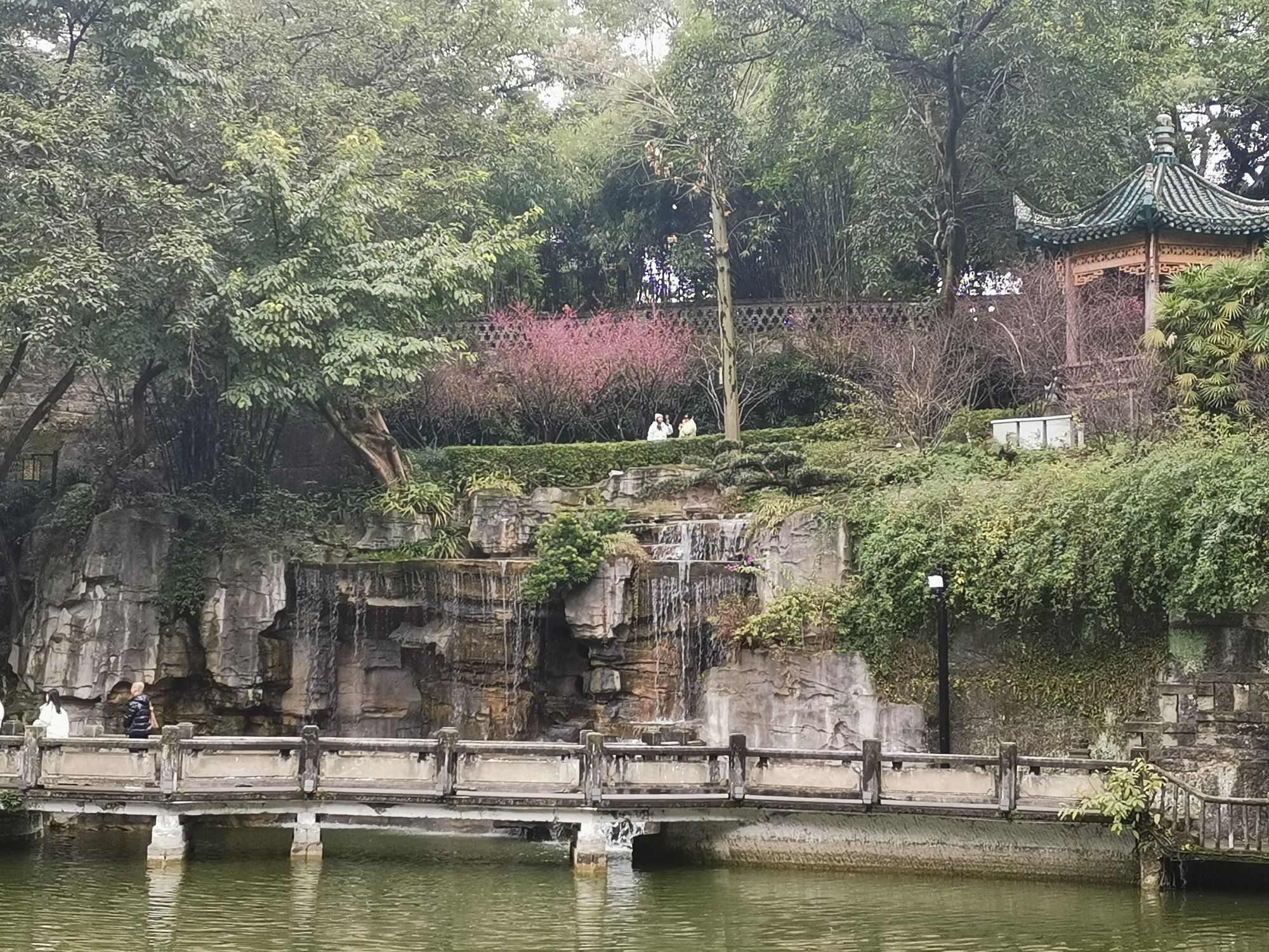 鹅岭公园旅行图片 3