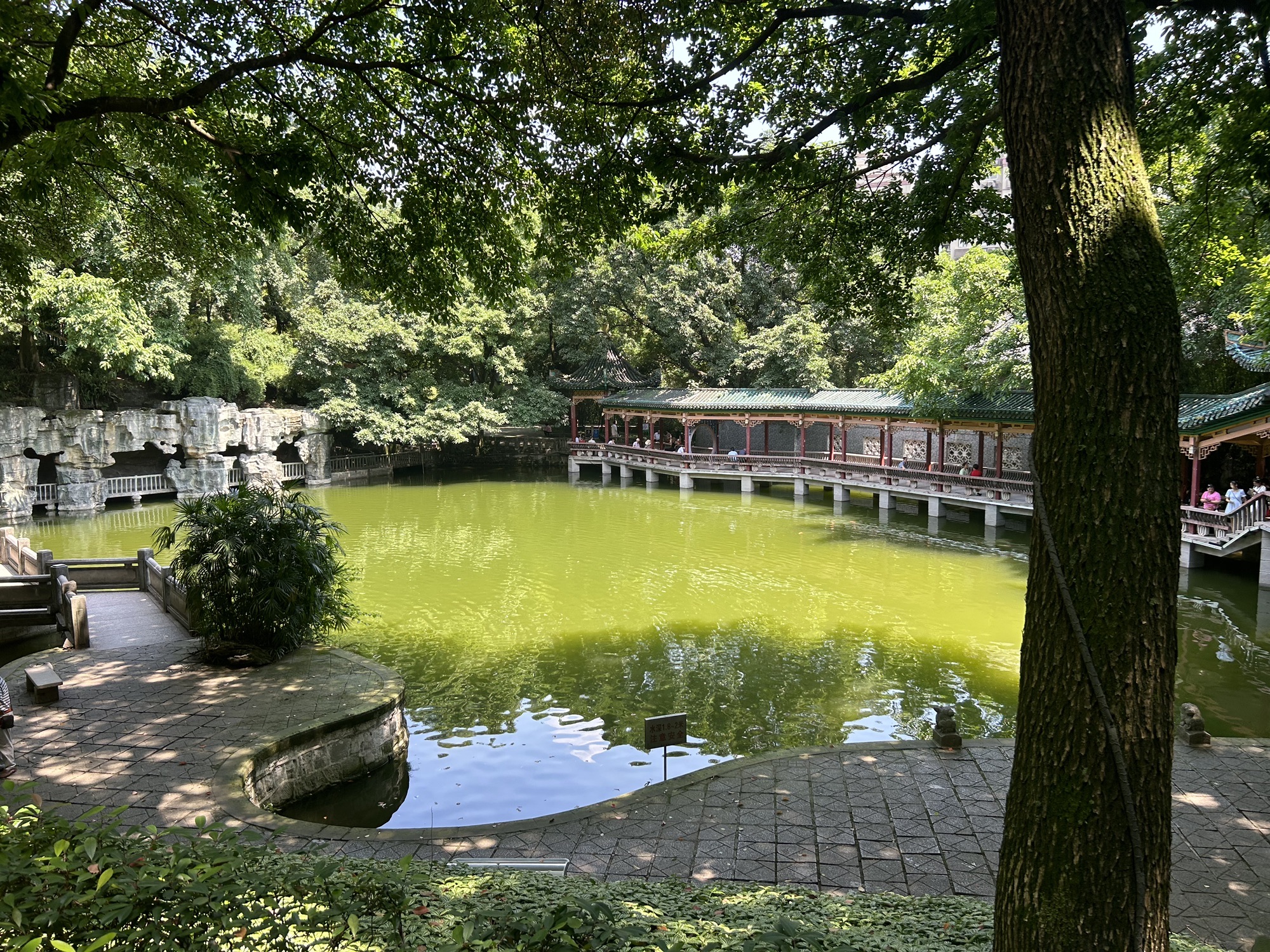 鹅岭公园旅行图片 3