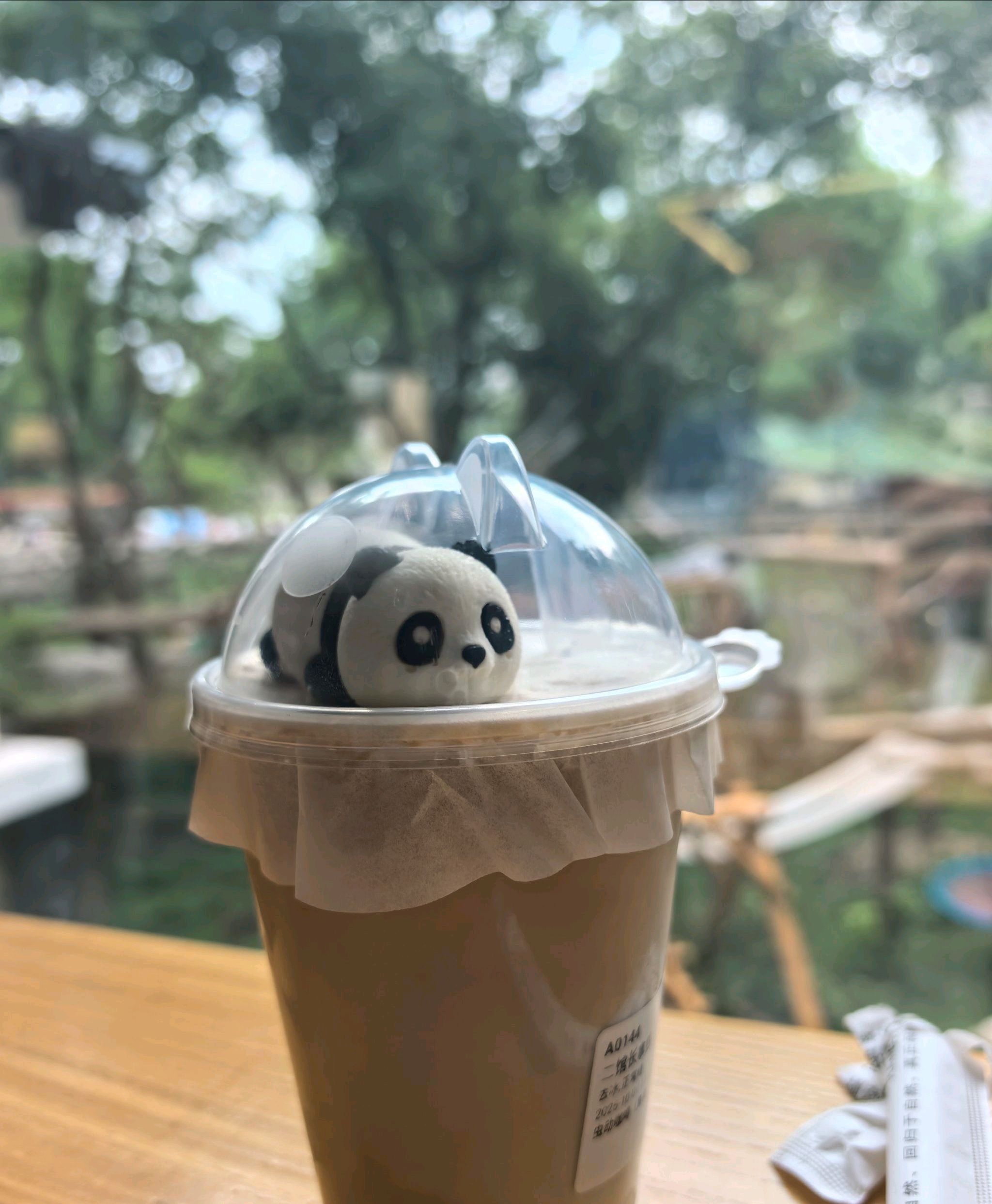 重庆动物园旅行图片 1
