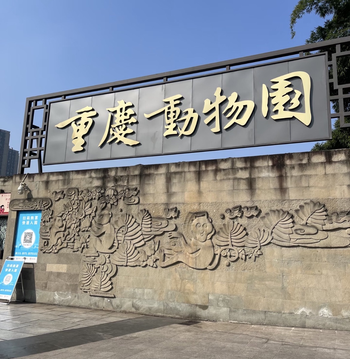 重庆动物园旅行图片 3