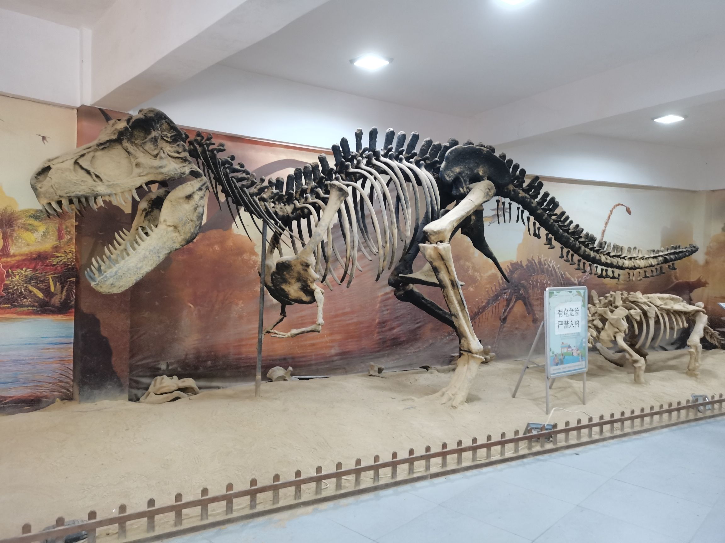 重庆动物园旅行图片 3