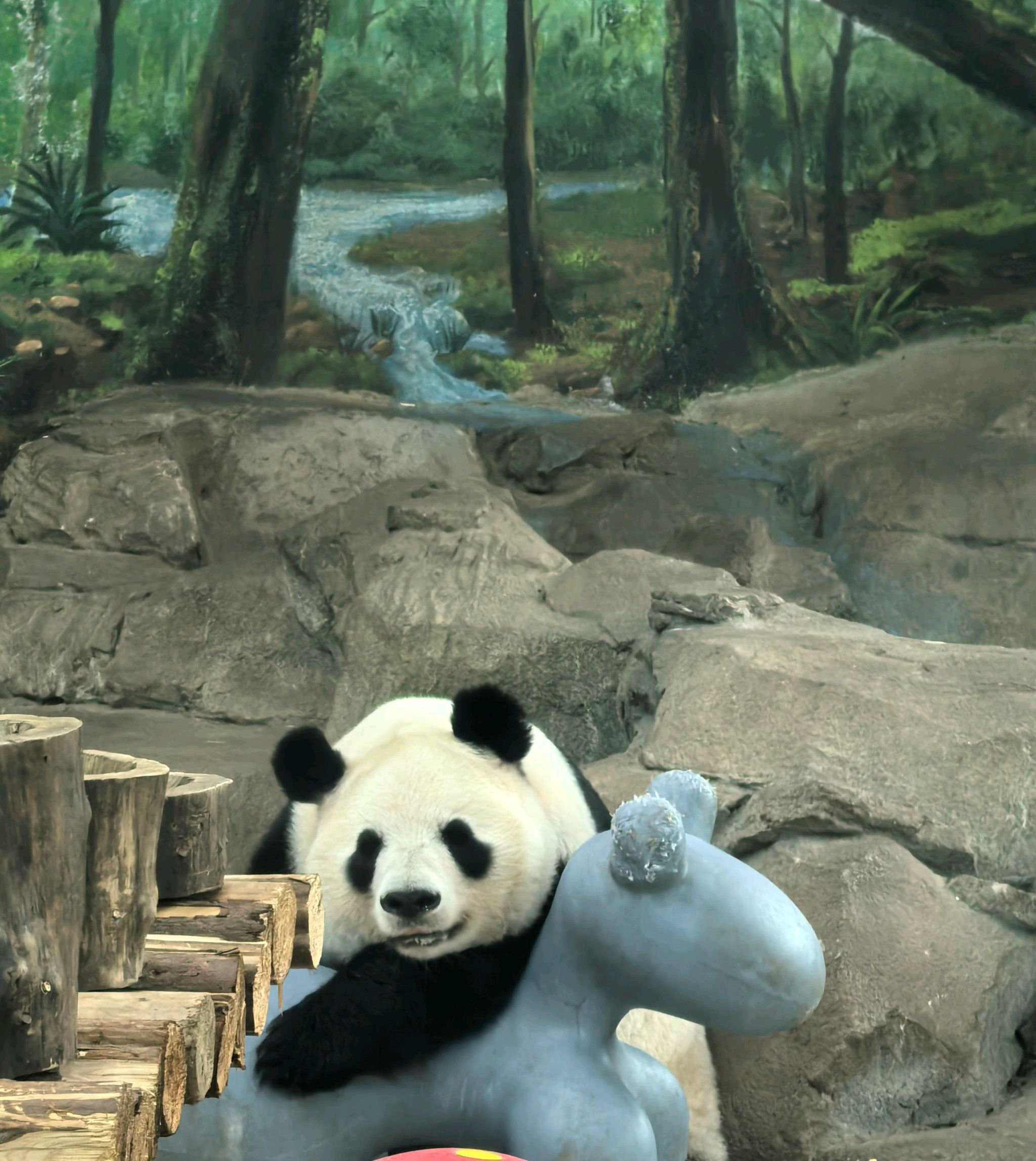 重庆动物园旅行图片 2