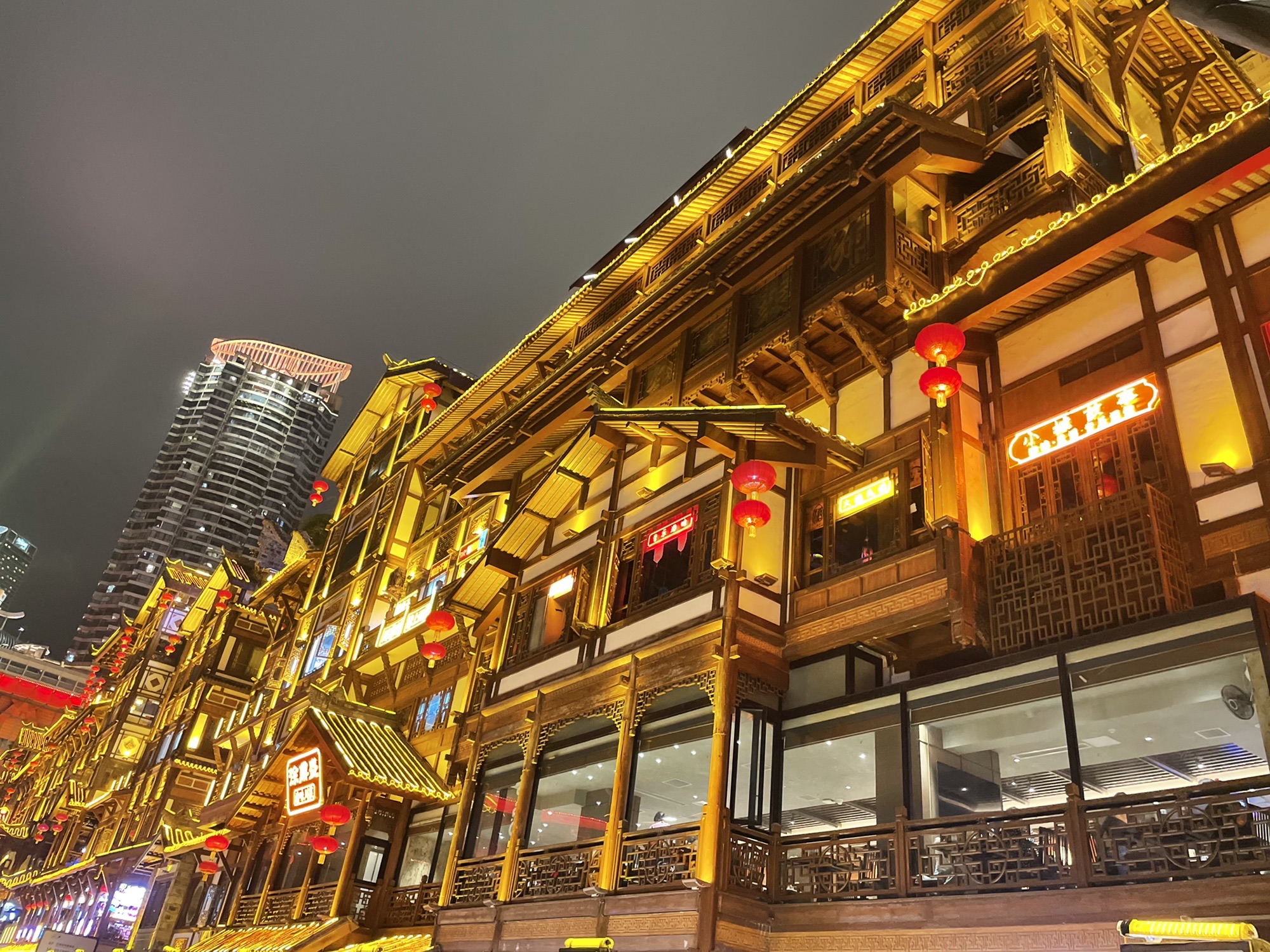 重庆动物园旅行图片 3