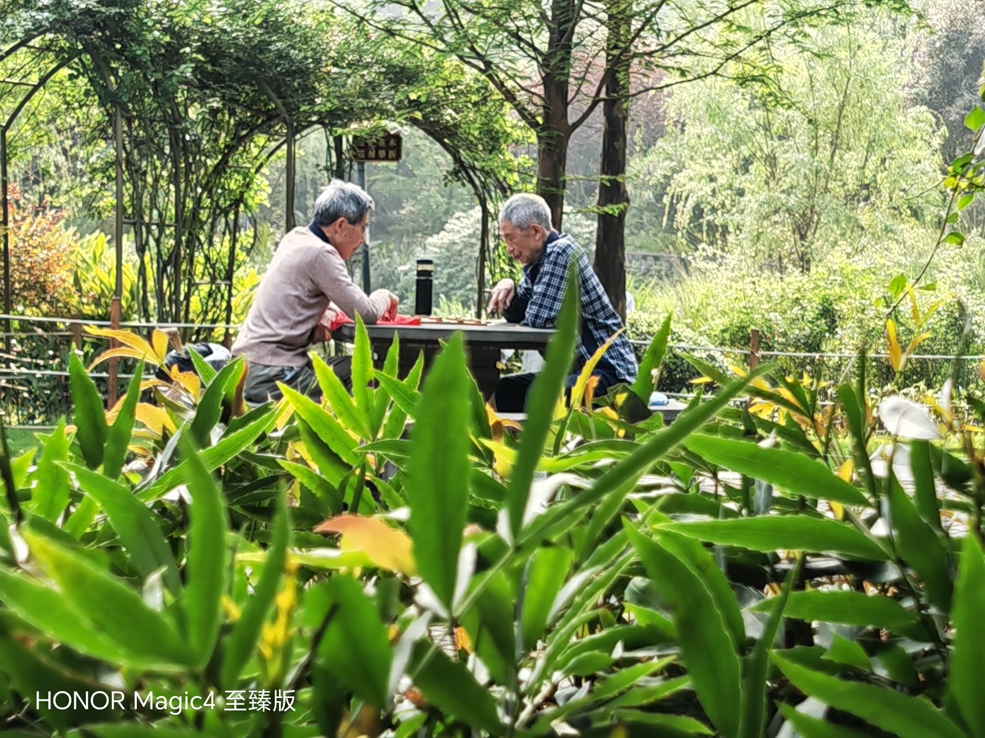 沙坪公园旅行图片 2