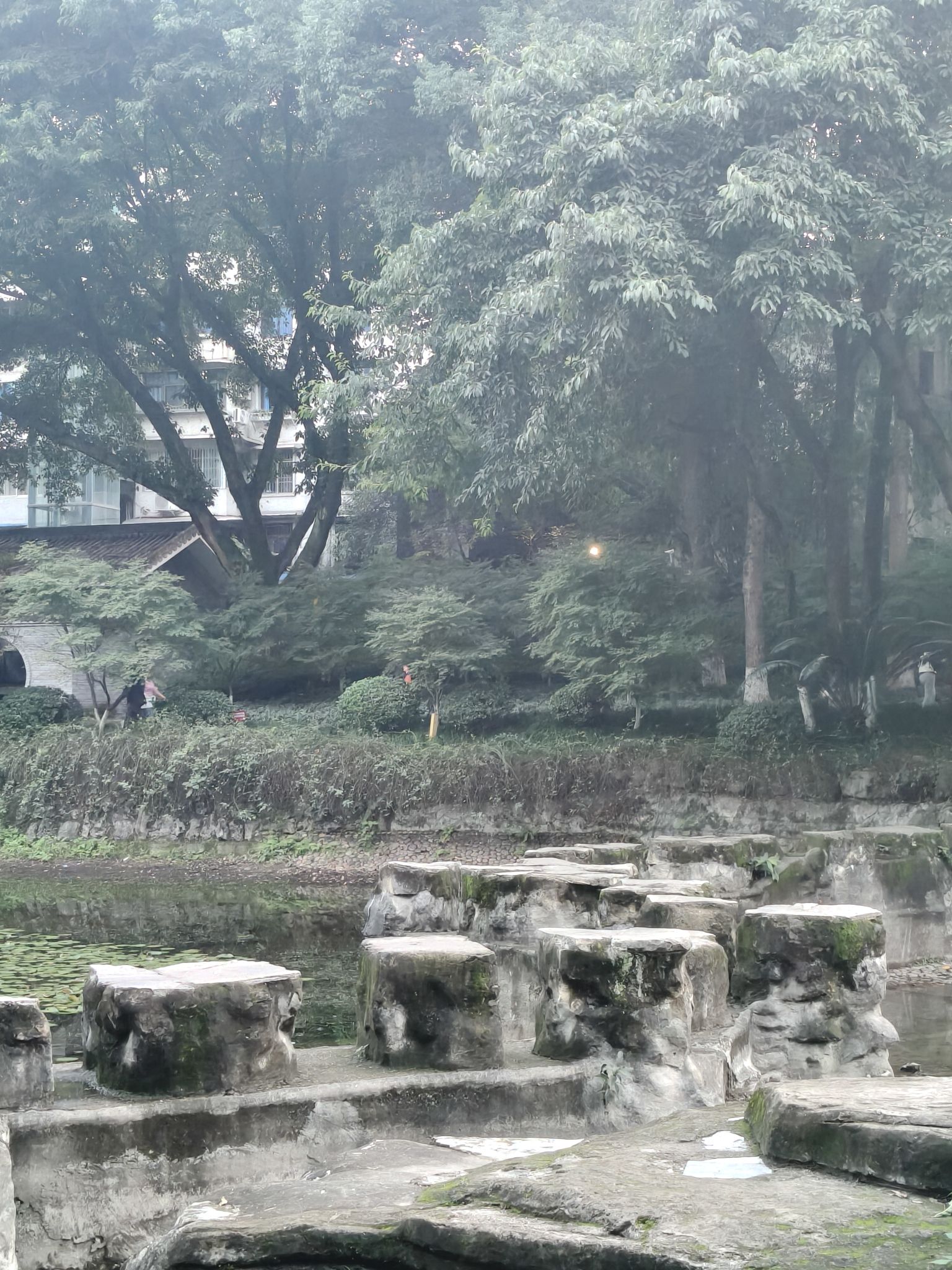 沙坪公园旅行图片 3