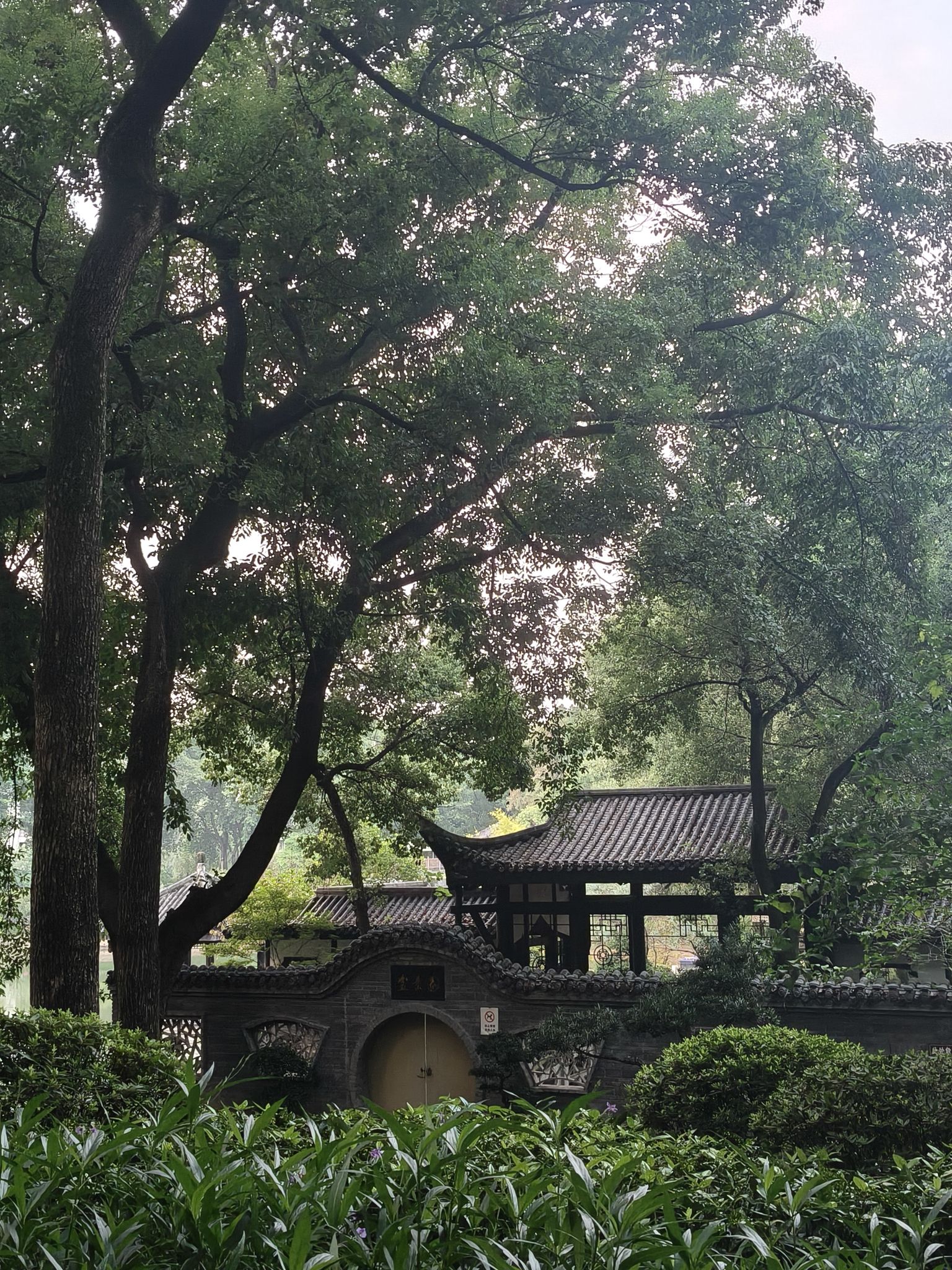 沙坪公园旅行图片 2