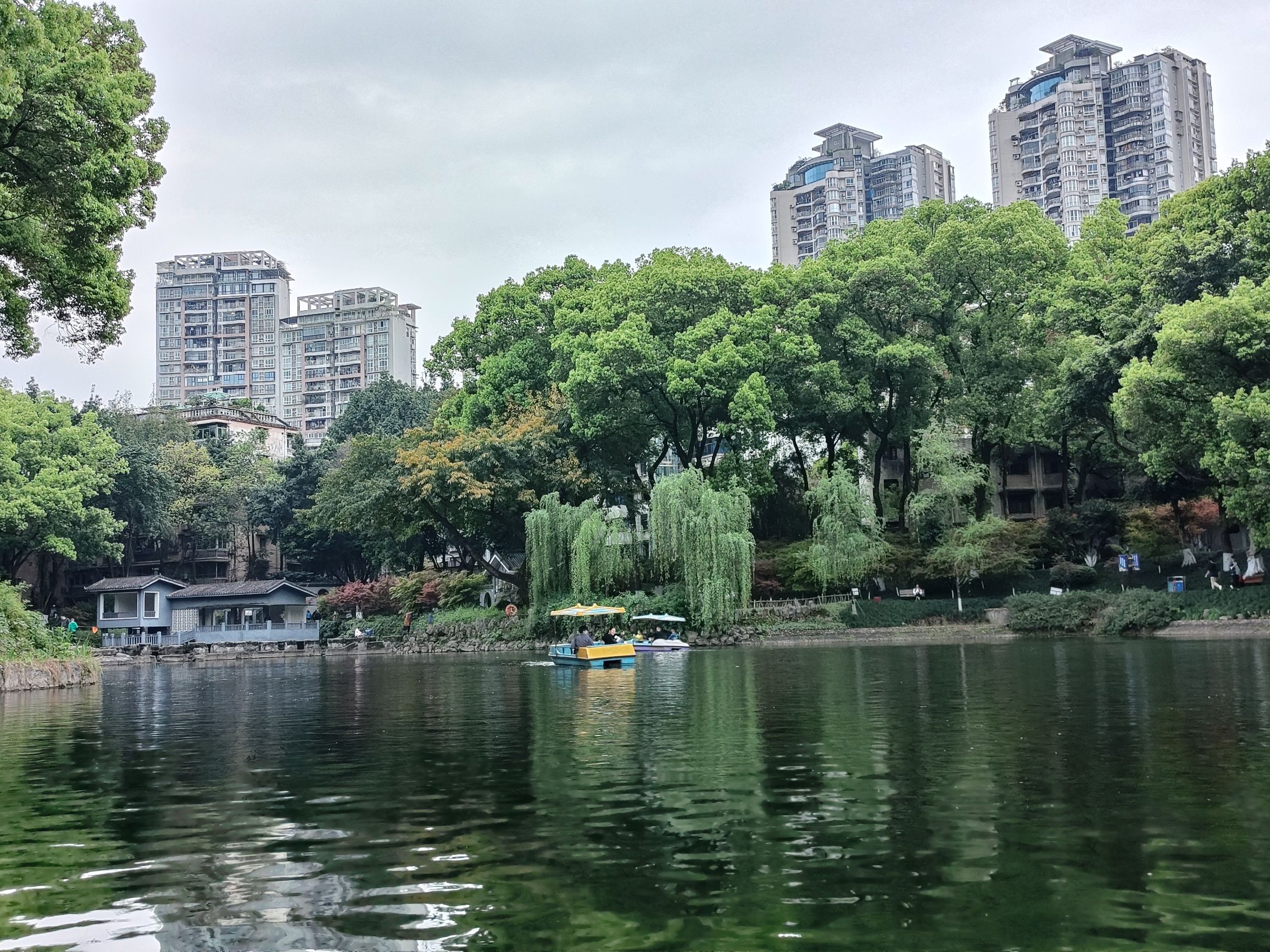 沙坪公园旅行图片 1