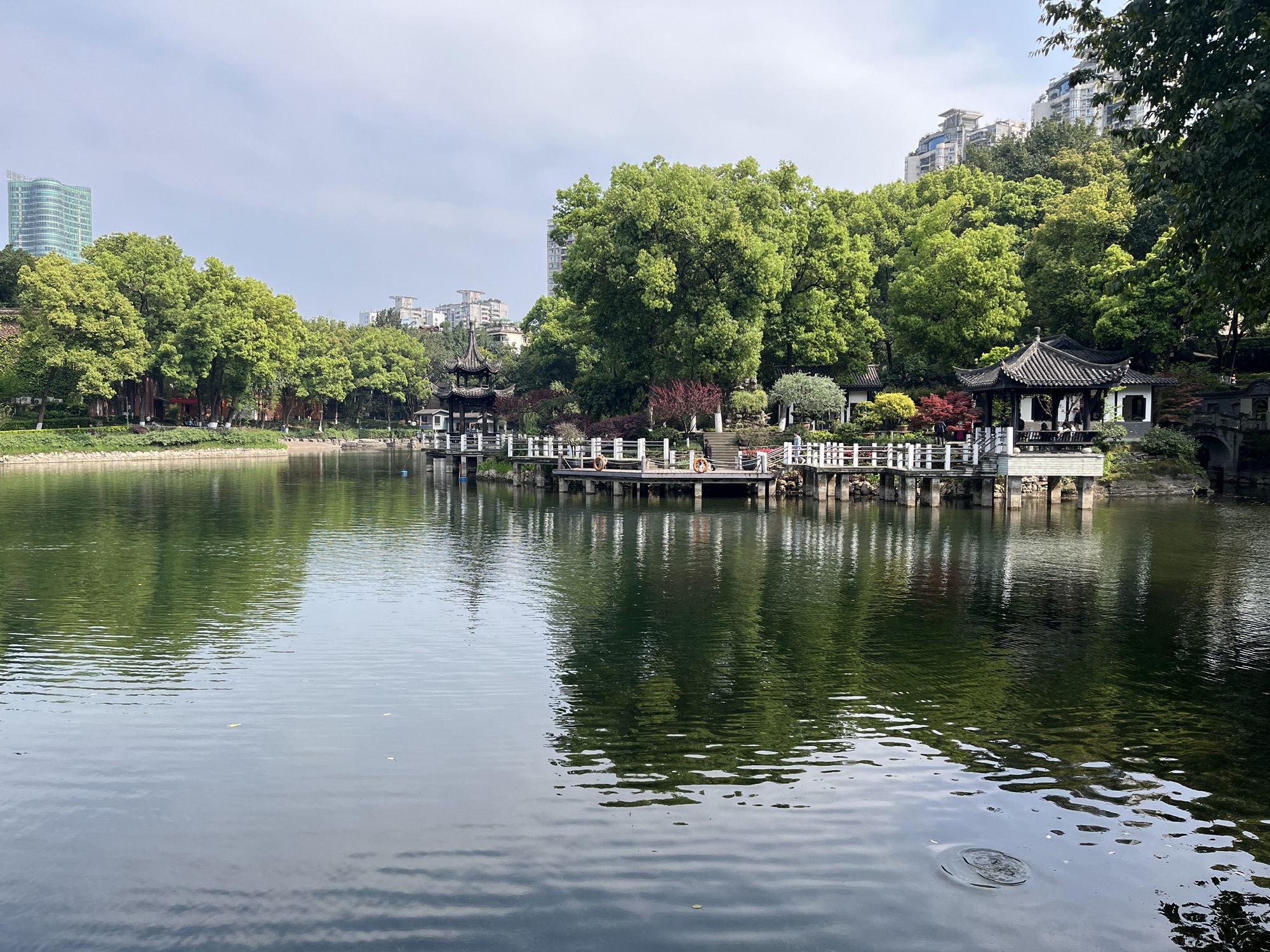 沙坪公园旅行图片 3