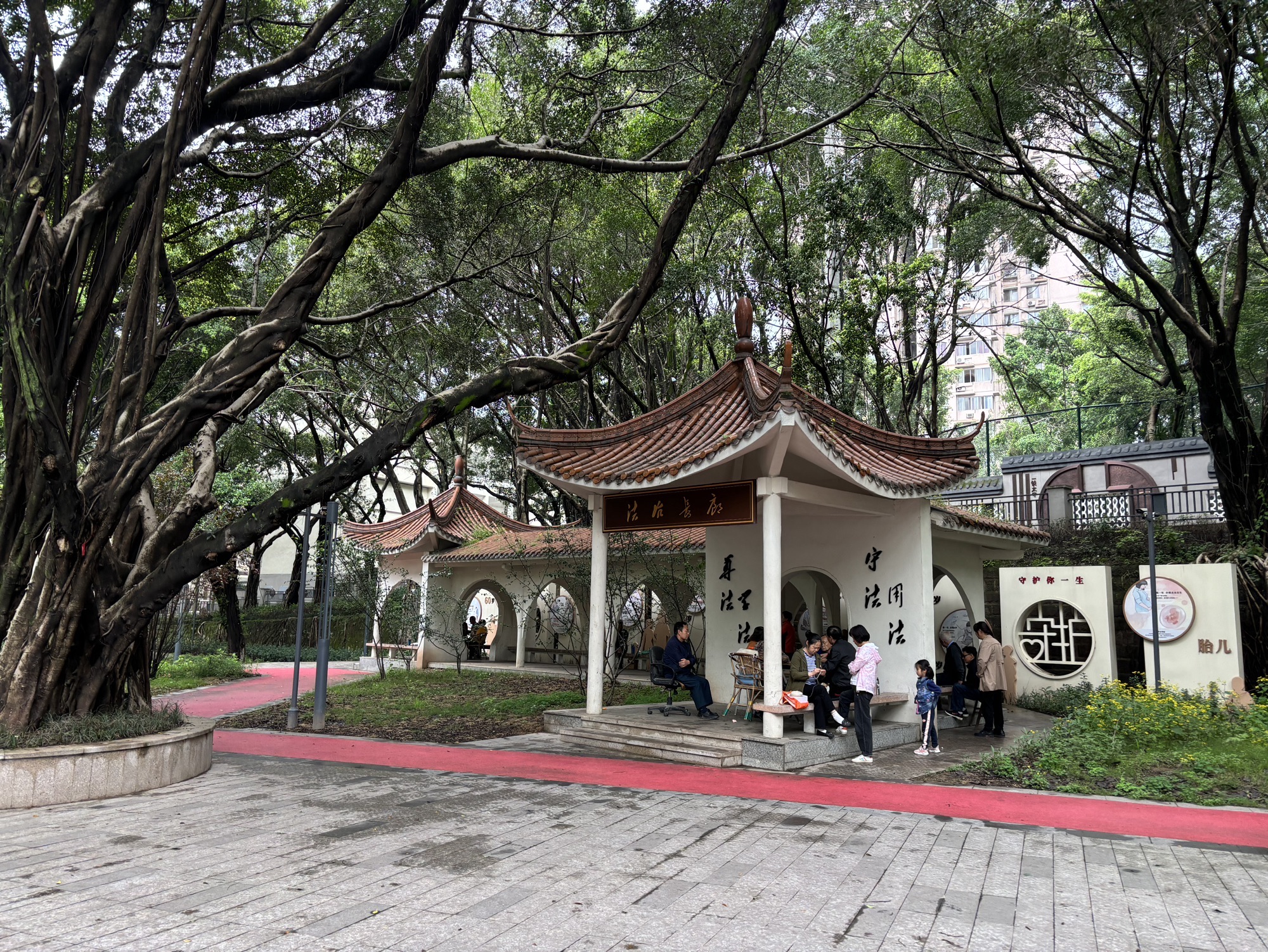 同乐园旅行图片 3