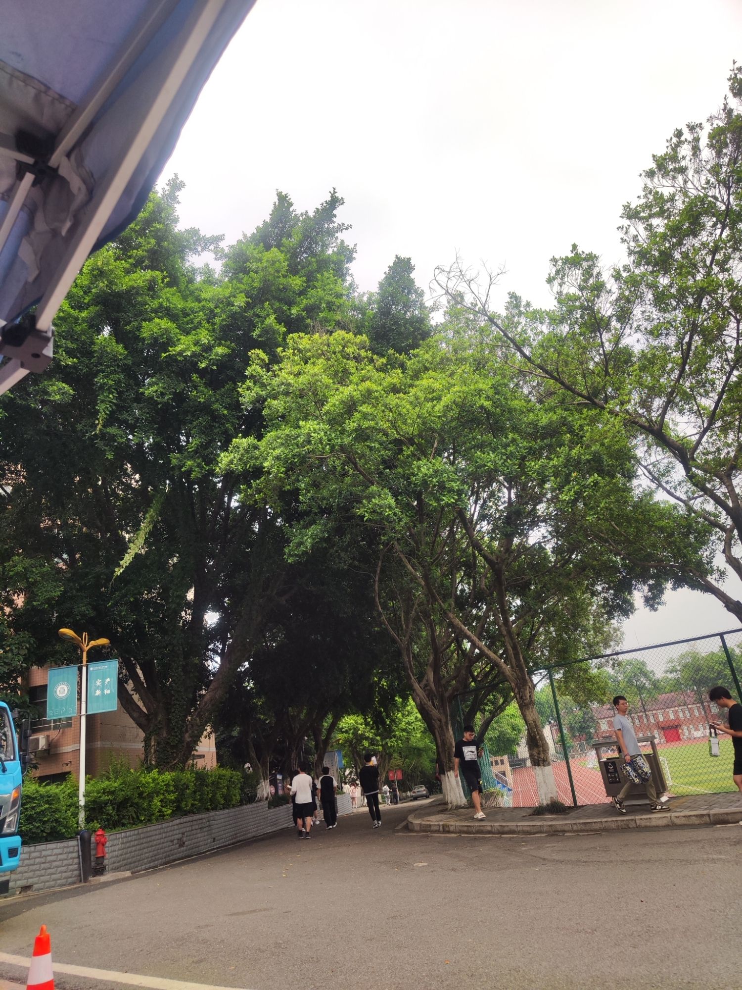 重庆电力高等专科学校(西区)