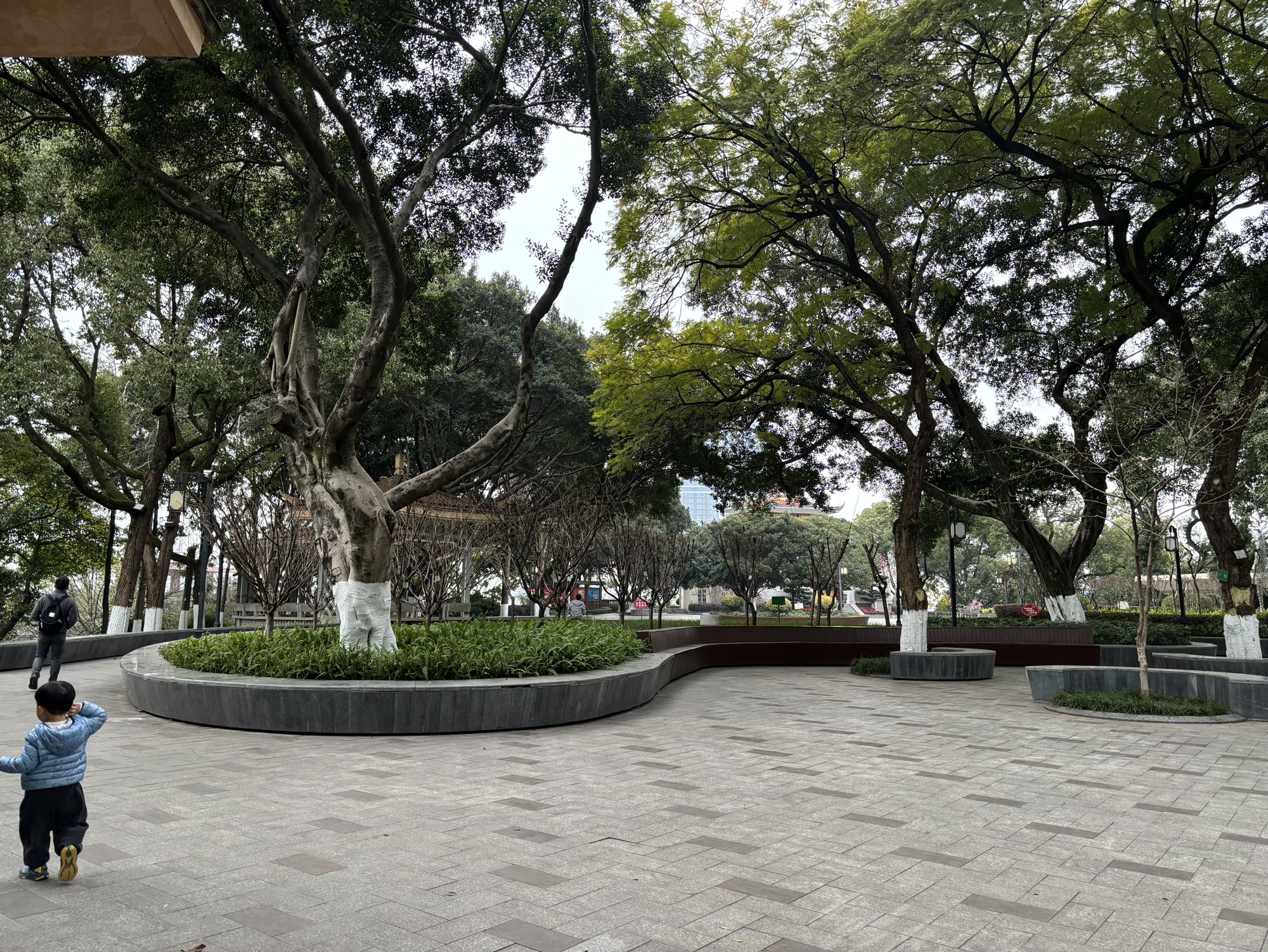 重庆枇杷山公园旅行图片 3