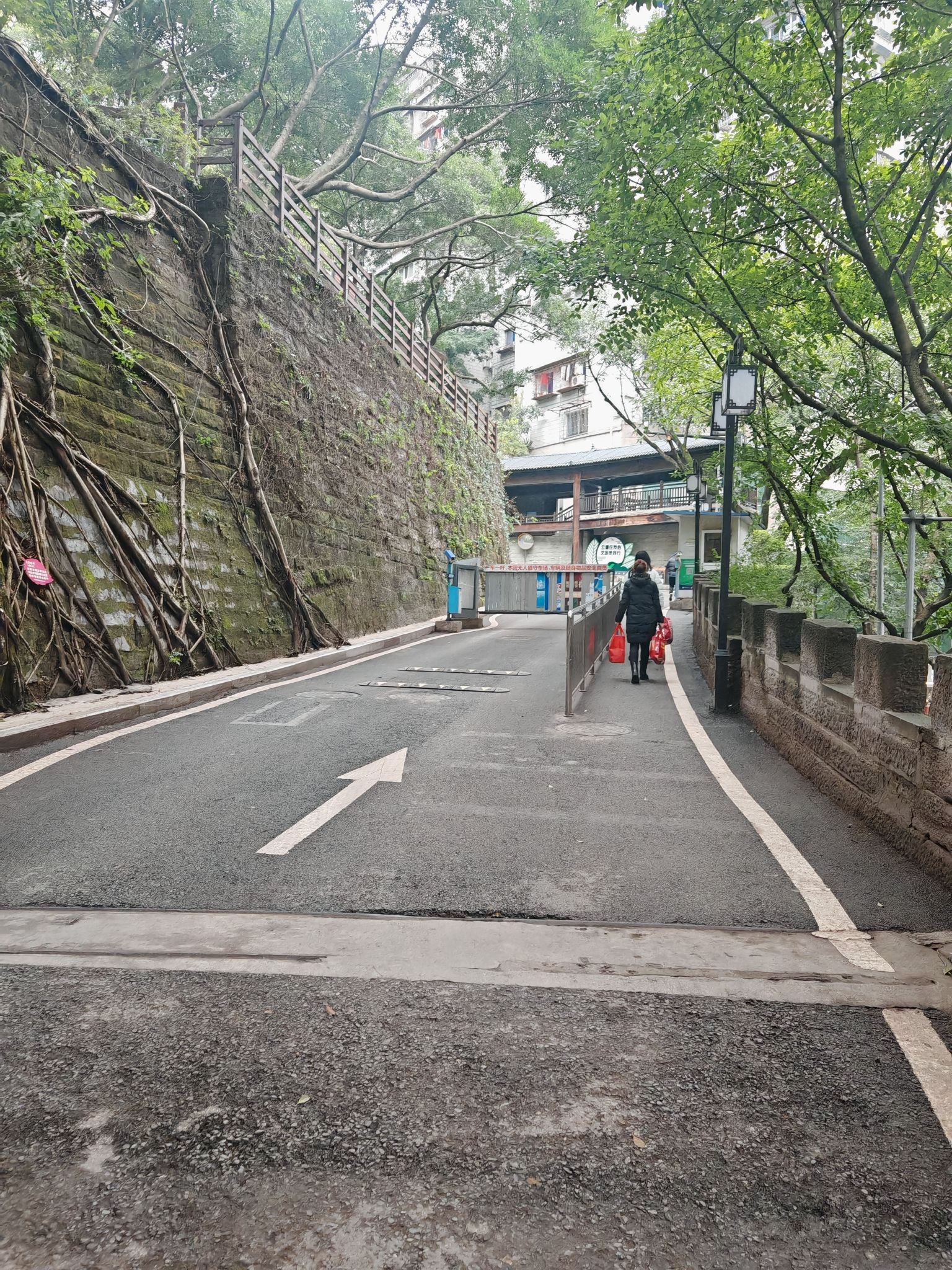 重庆枇杷山公园旅行图片 2