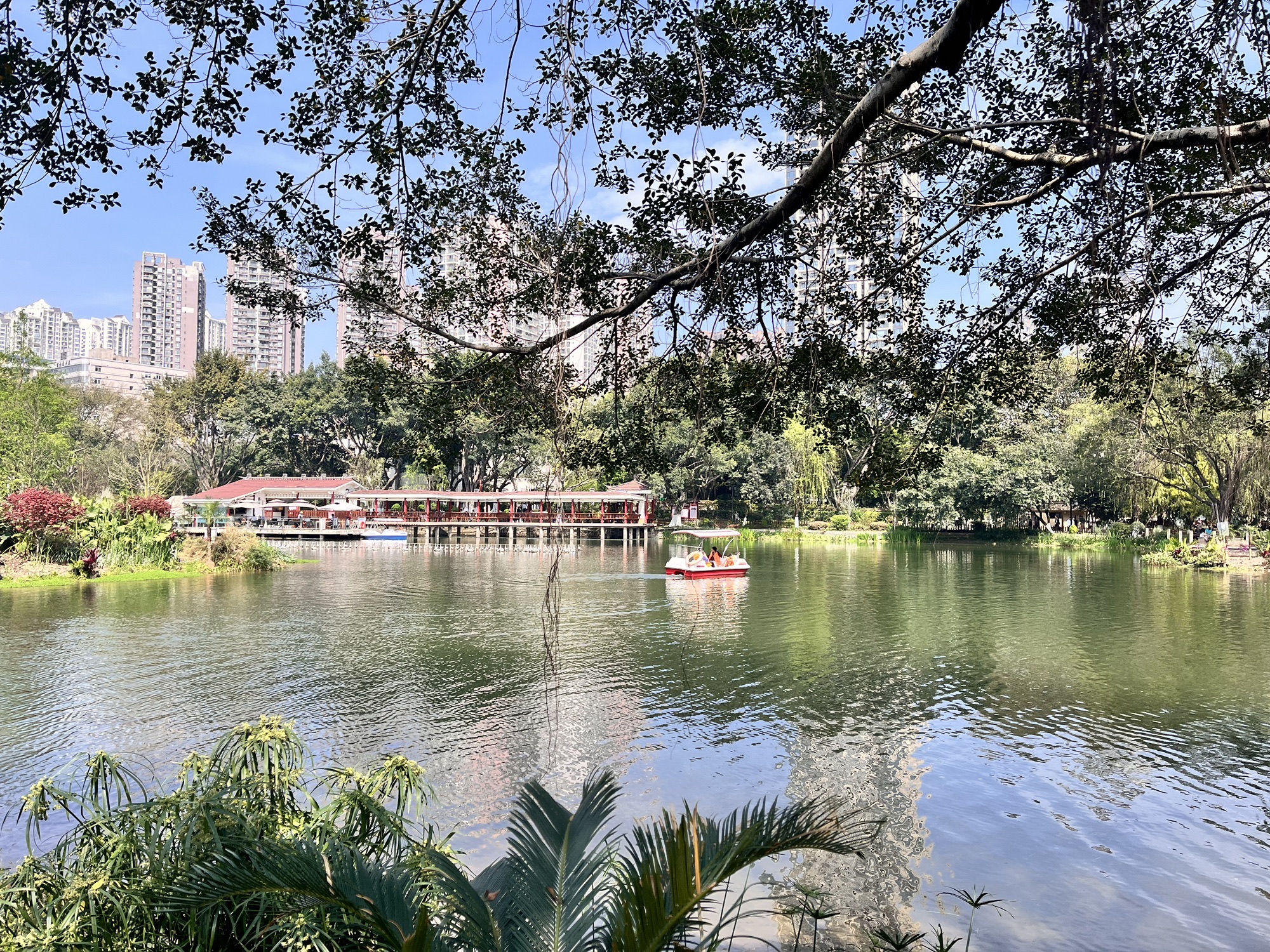 大渡口公园旅行图片 1