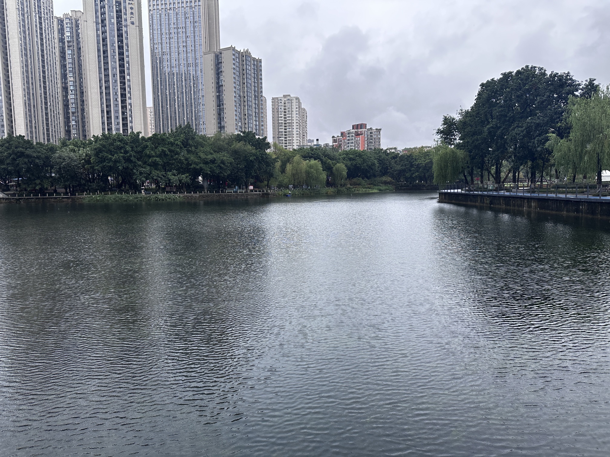 大渡口公园旅行图片 1
