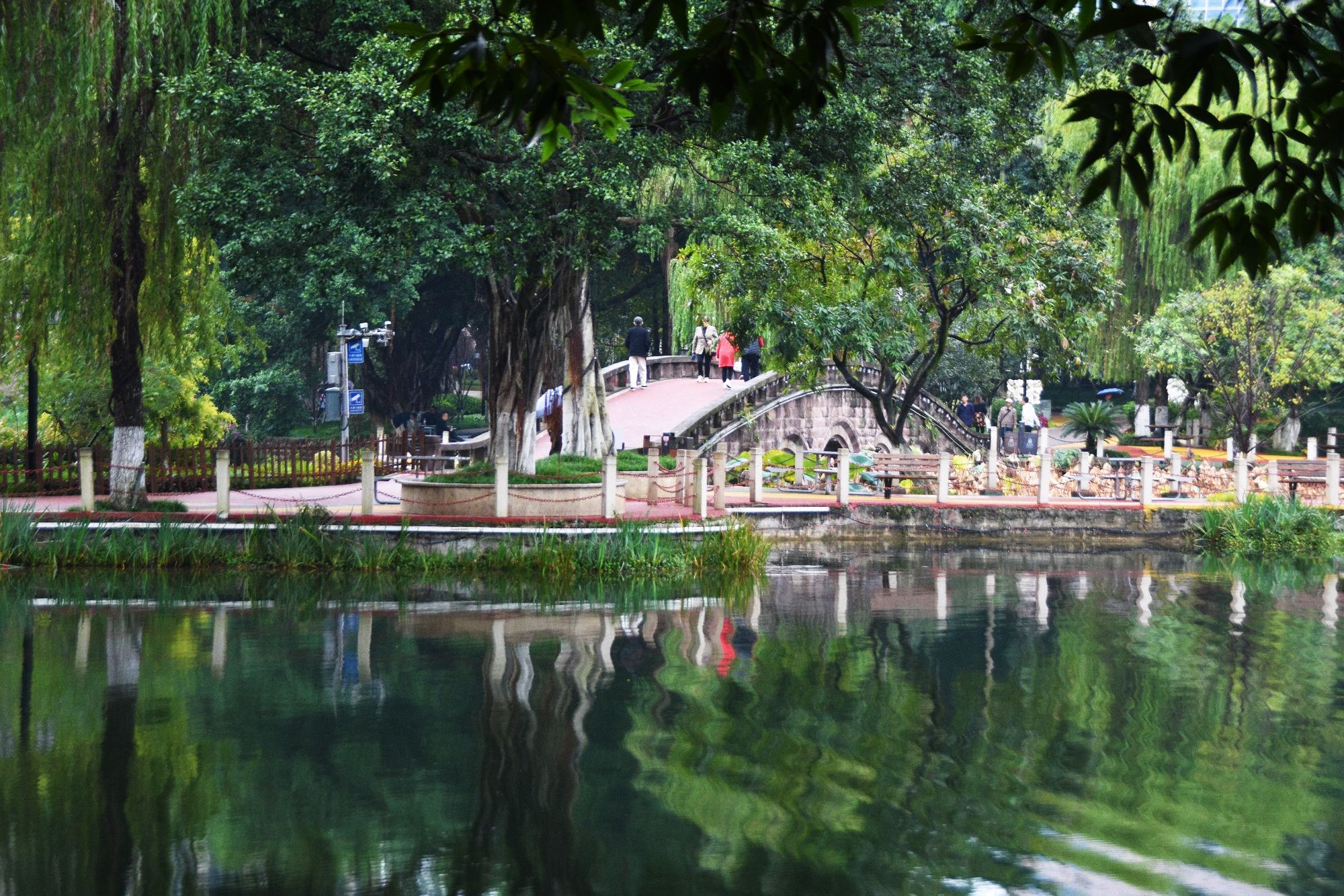大渡口公园旅行图片 2