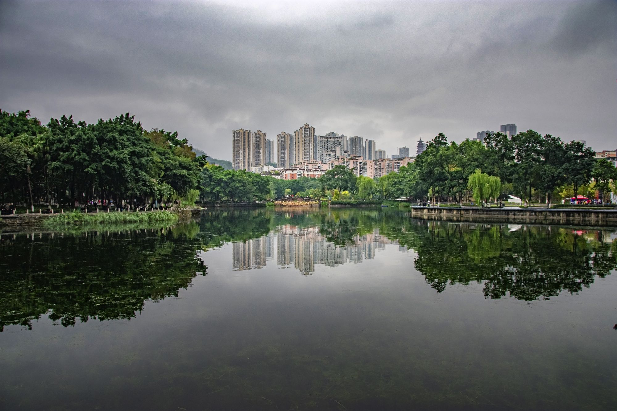 大渡口公园旅行图片 1