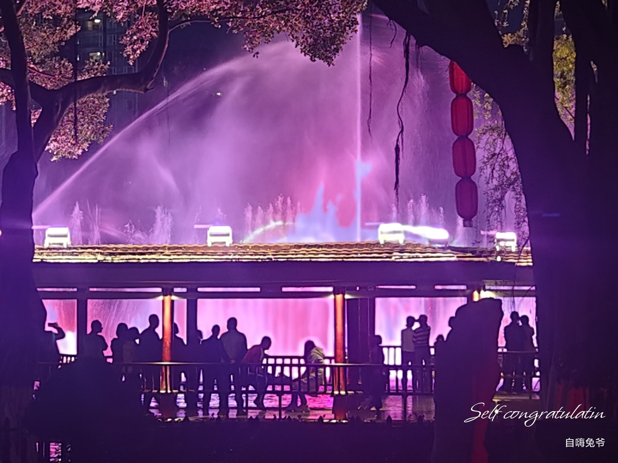大渡口公园旅行图片 3