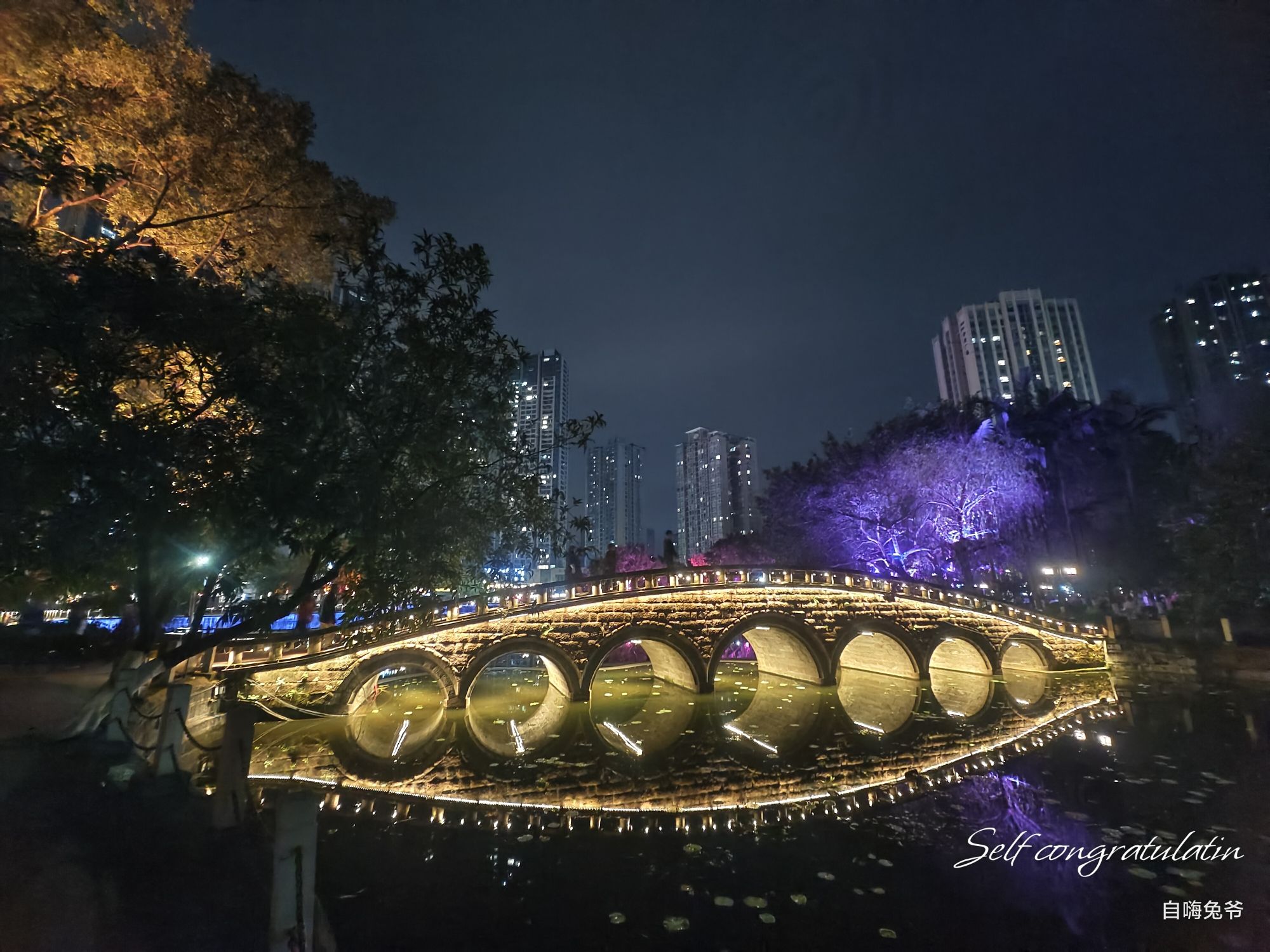 大渡口公园旅行图片 2