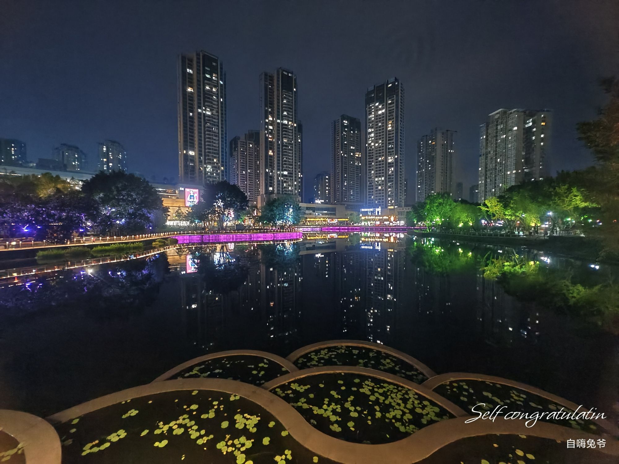 大渡口公园旅行图片 1
