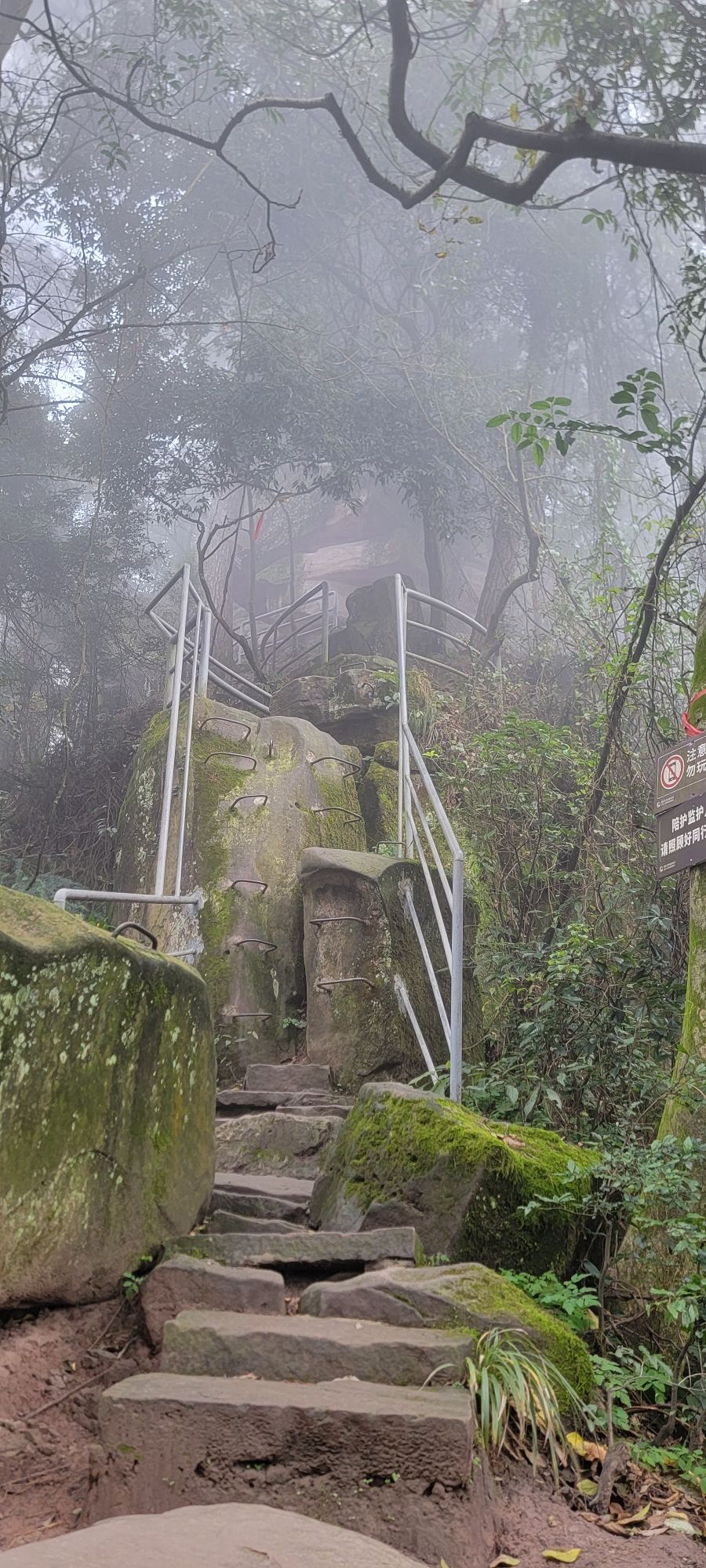 圣灯山原始森林公园旅行图片 3