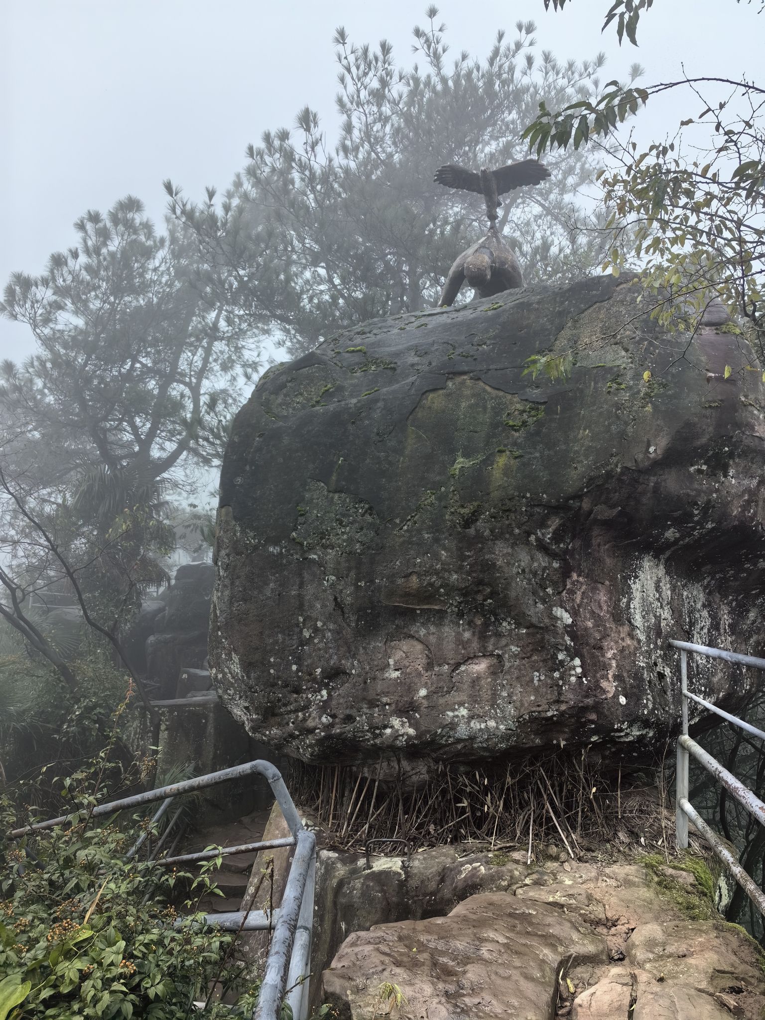 圣灯山原始森林公园旅行图片 3